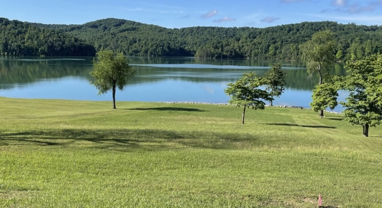 Lakefront Lot for Sale on Norris Lake