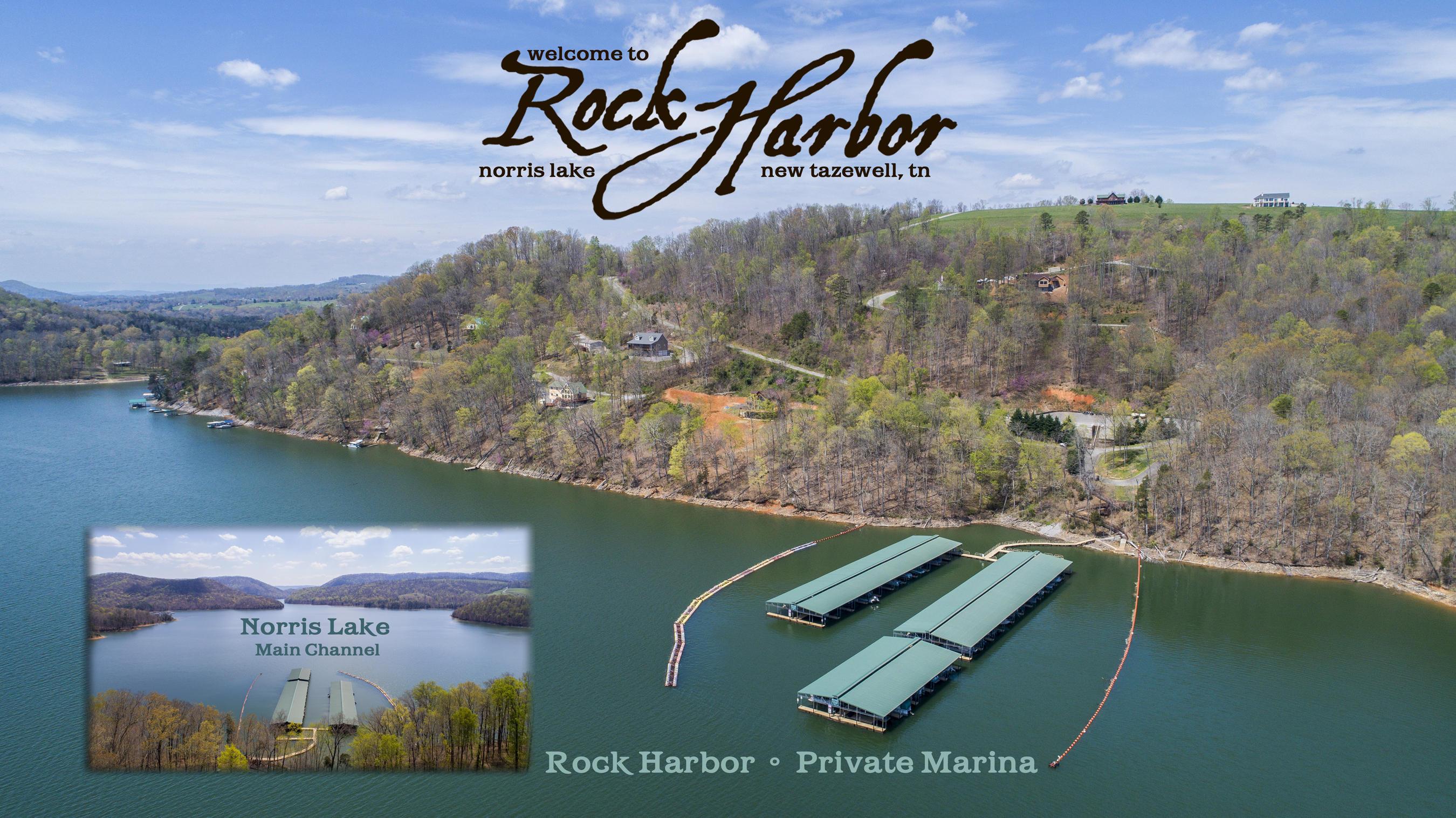 Norris Lake Real Estate - Image# 3