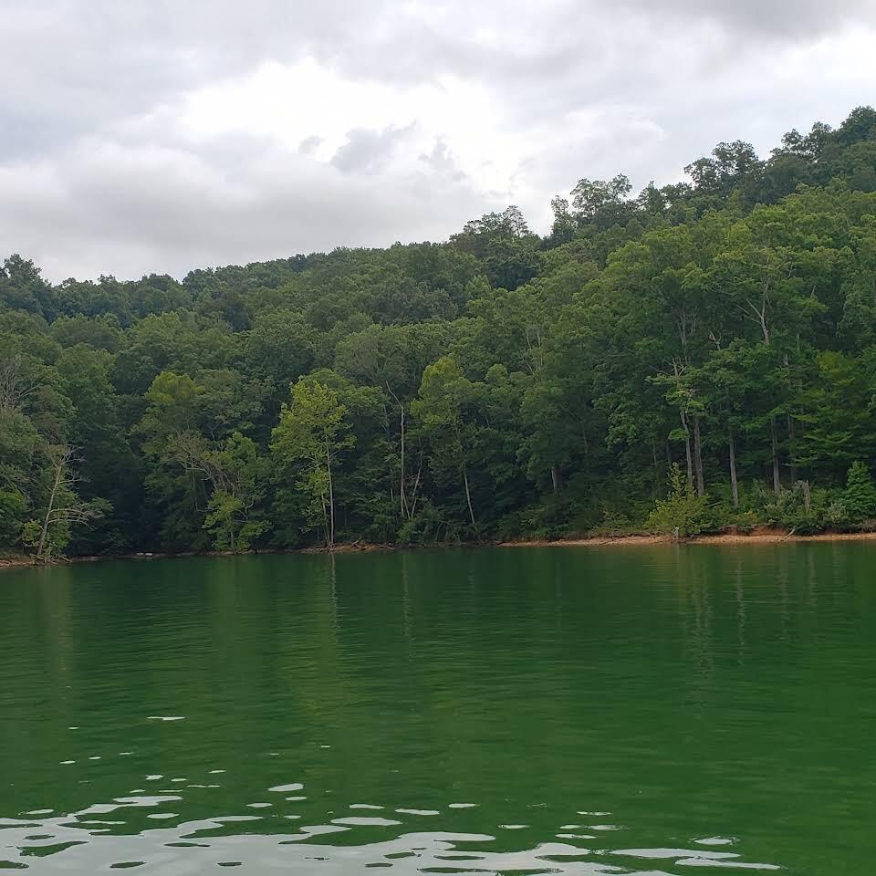 Norris Lake Real Estate - Image# 19