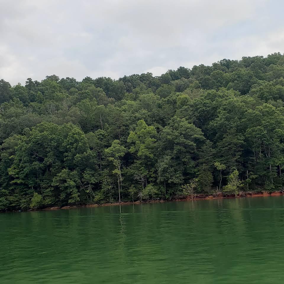 Norris Lake Real Estate - Image# 18