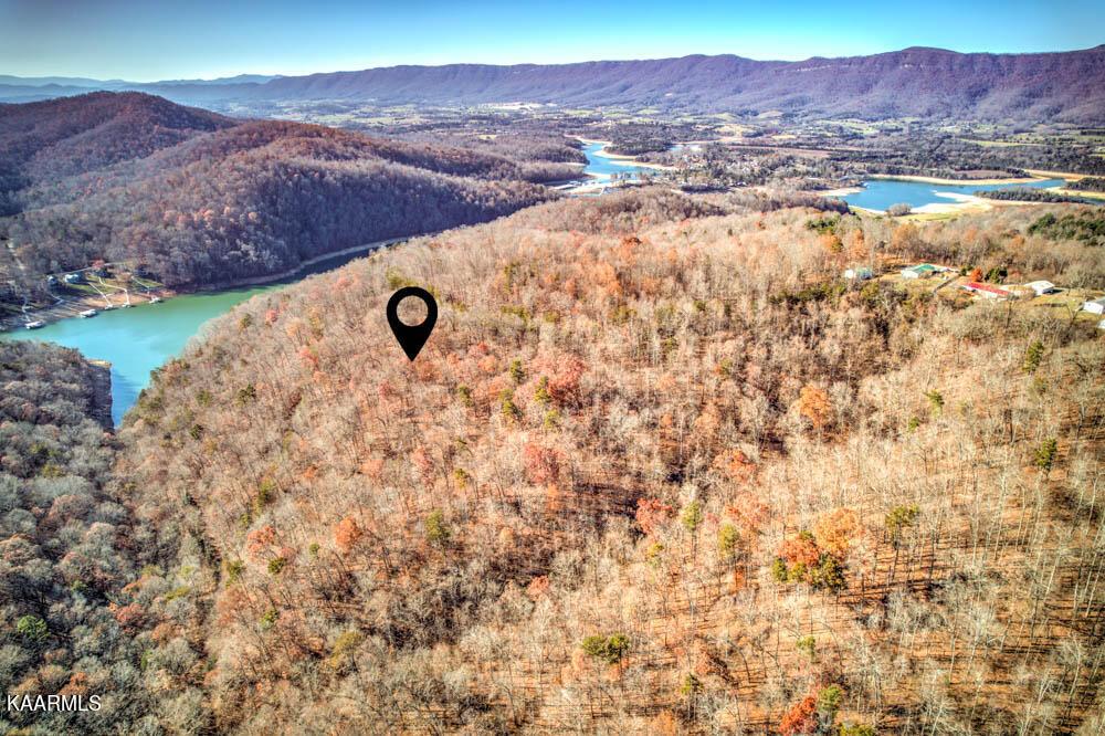 Norris Lake Real Estate - Image# 4