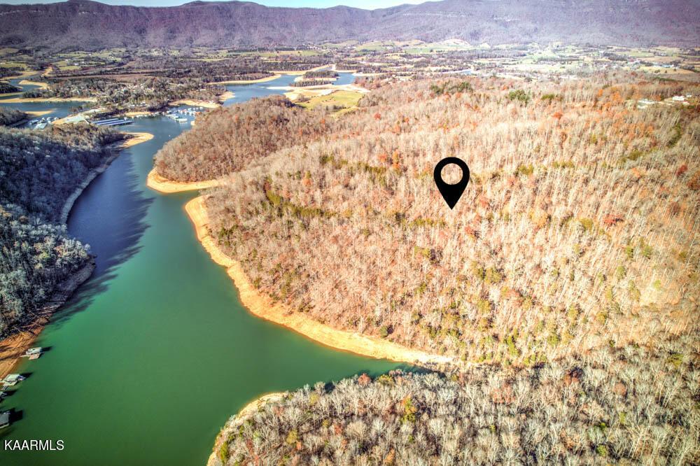 Norris Lake Real Estate - Image# 9