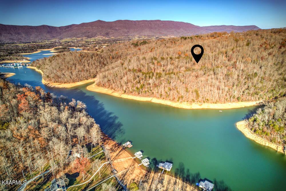 Norris Lake Real Estate - Image# 10