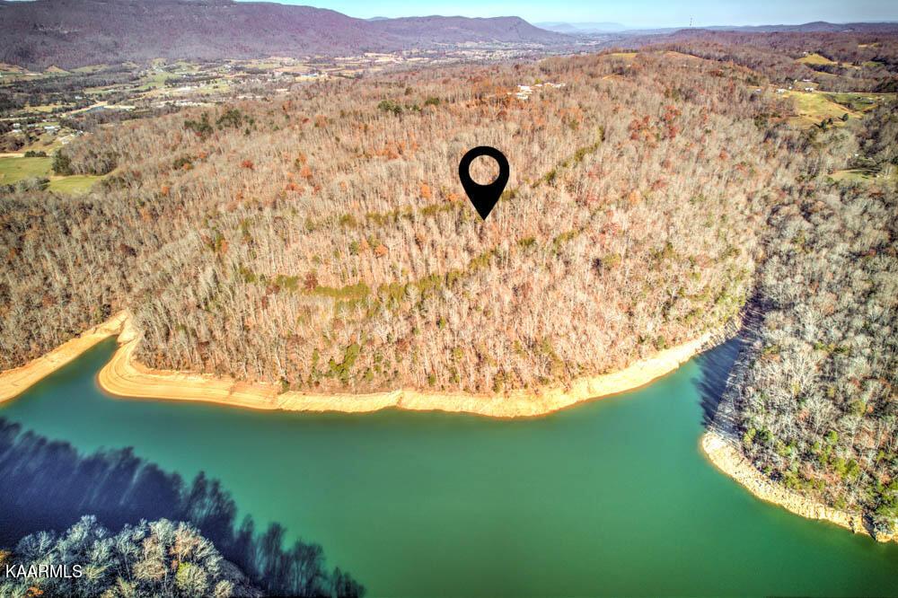 Norris Lake Real Estate - Image# 11