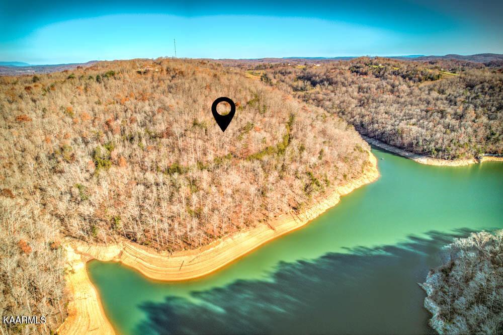 Norris Lake Real Estate - Image# 13