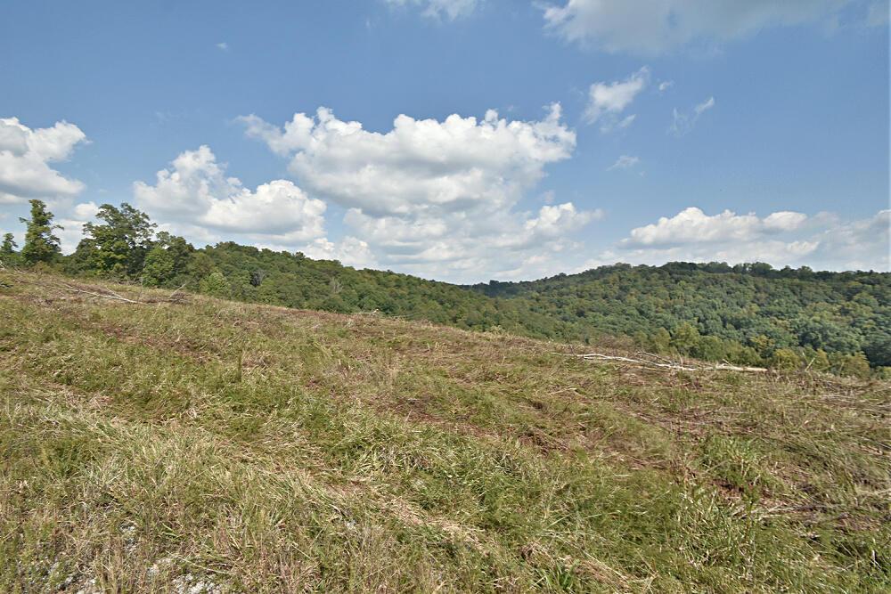 Norris Lake Real Estate - Image# 4