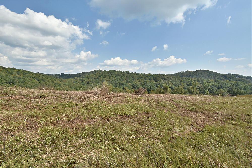 Norris Lake Real Estate - Image# 6