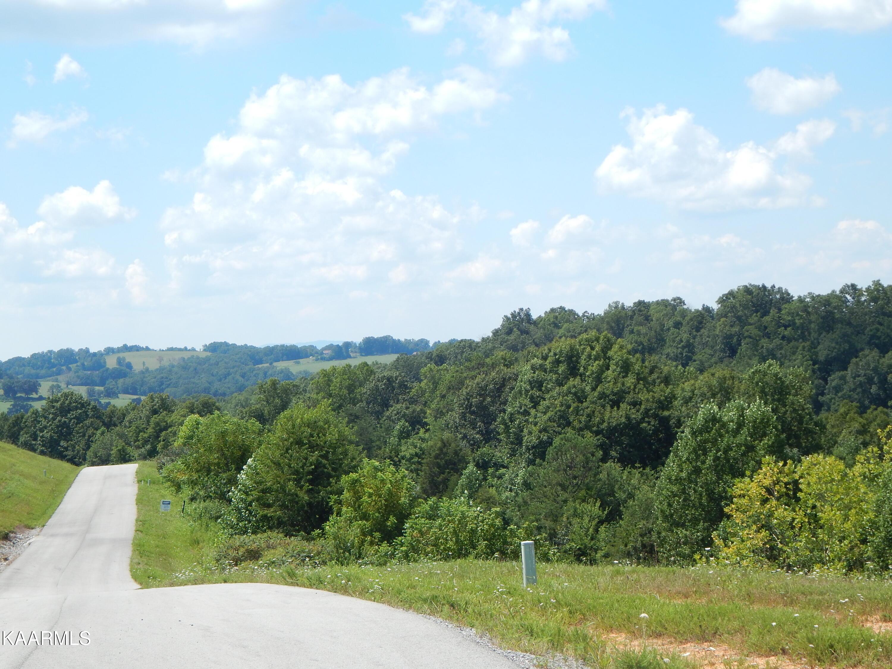 Norris Lake Real Estate - Image# 3