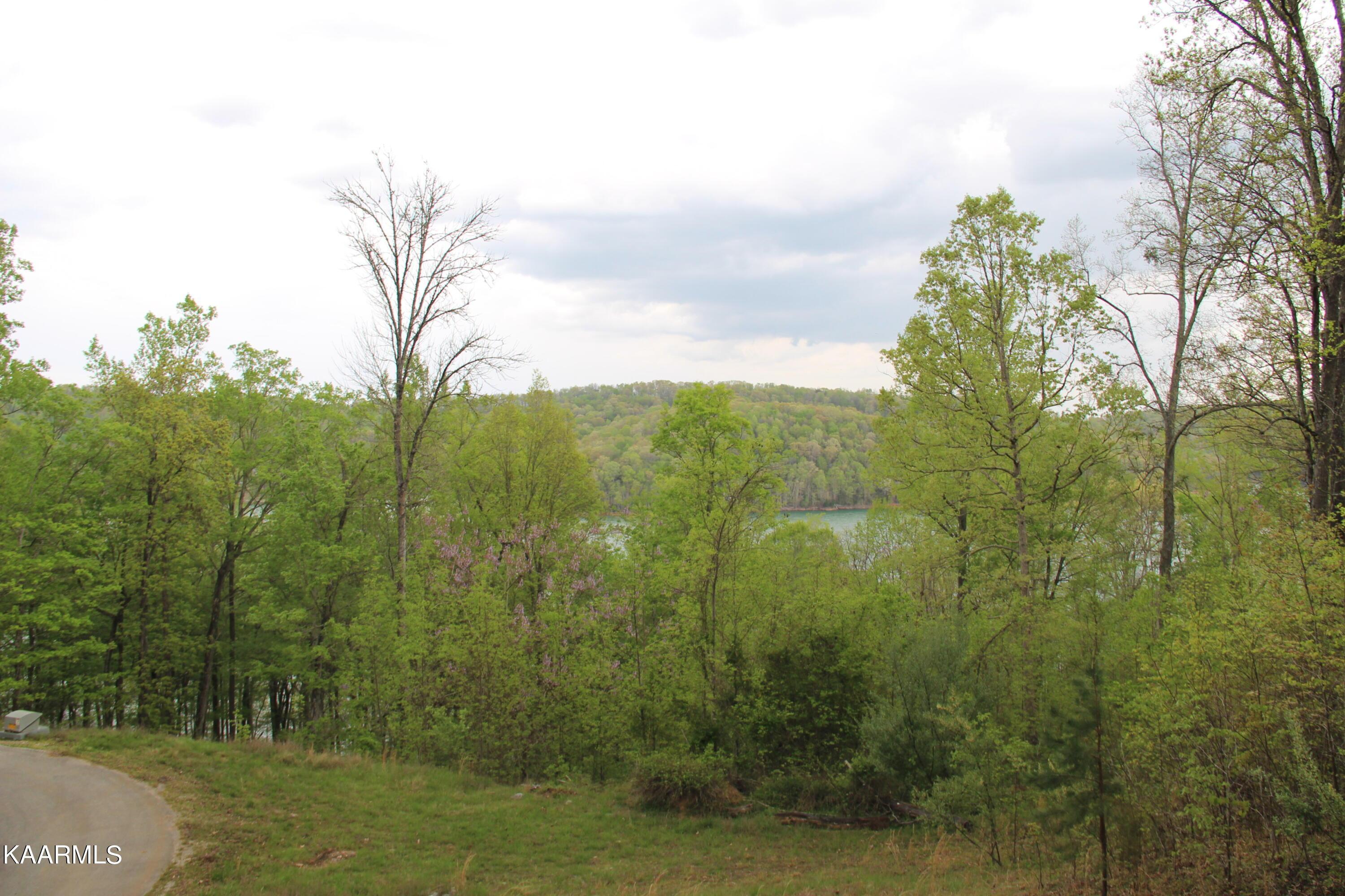 Norris Lake Real Estate - Image# 1