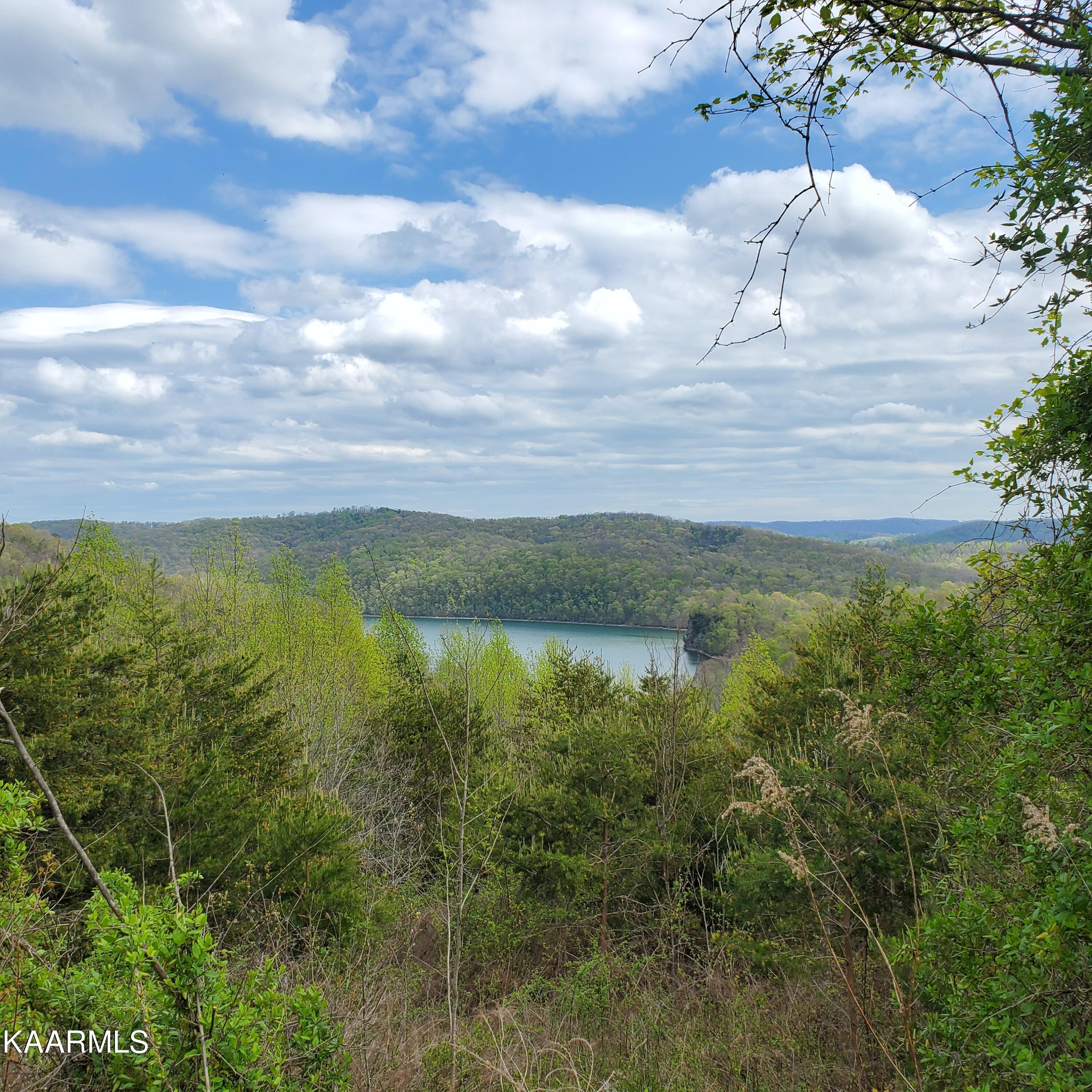 Norris Lake Real Estate - Image# 1