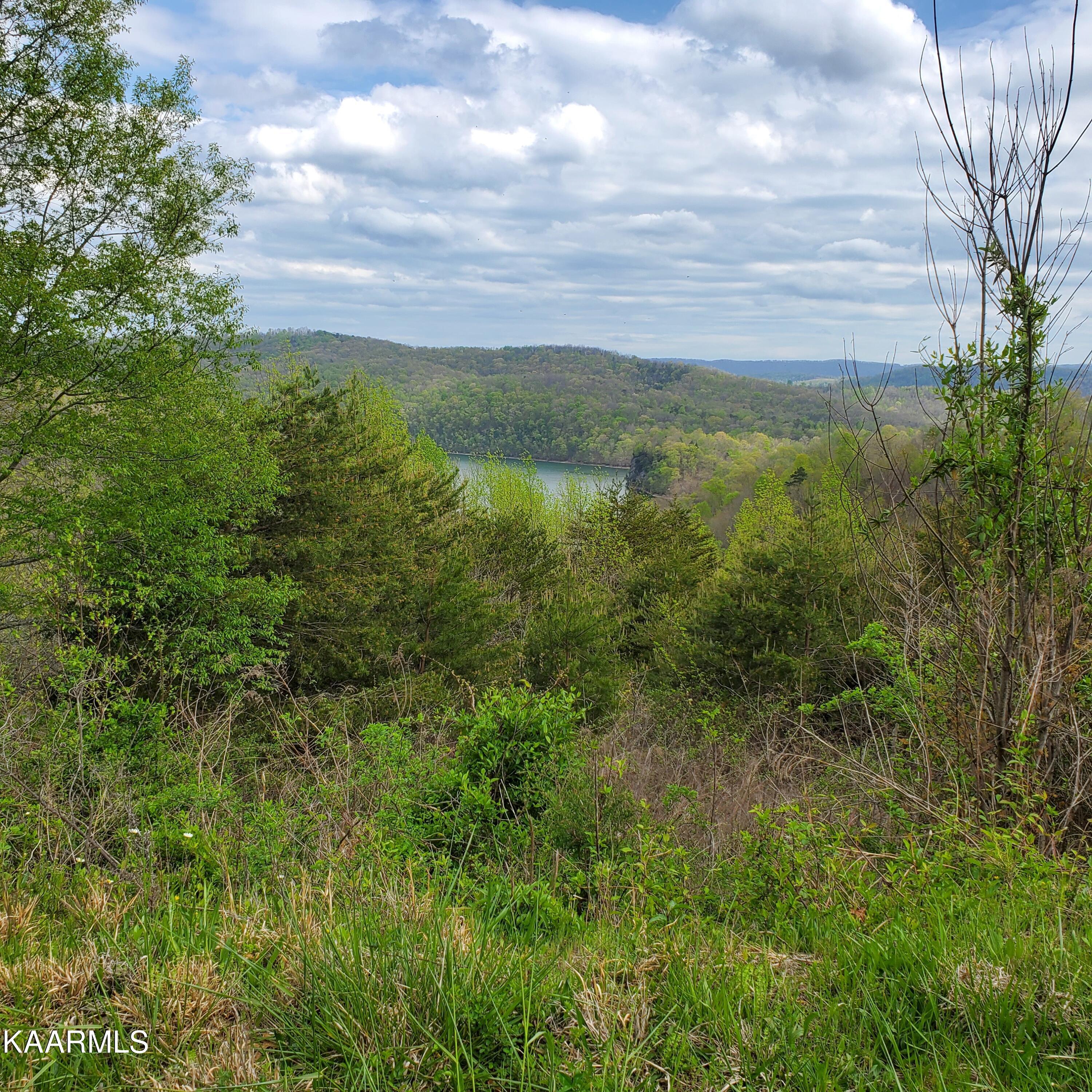 Norris Lake Real Estate - Image# 3