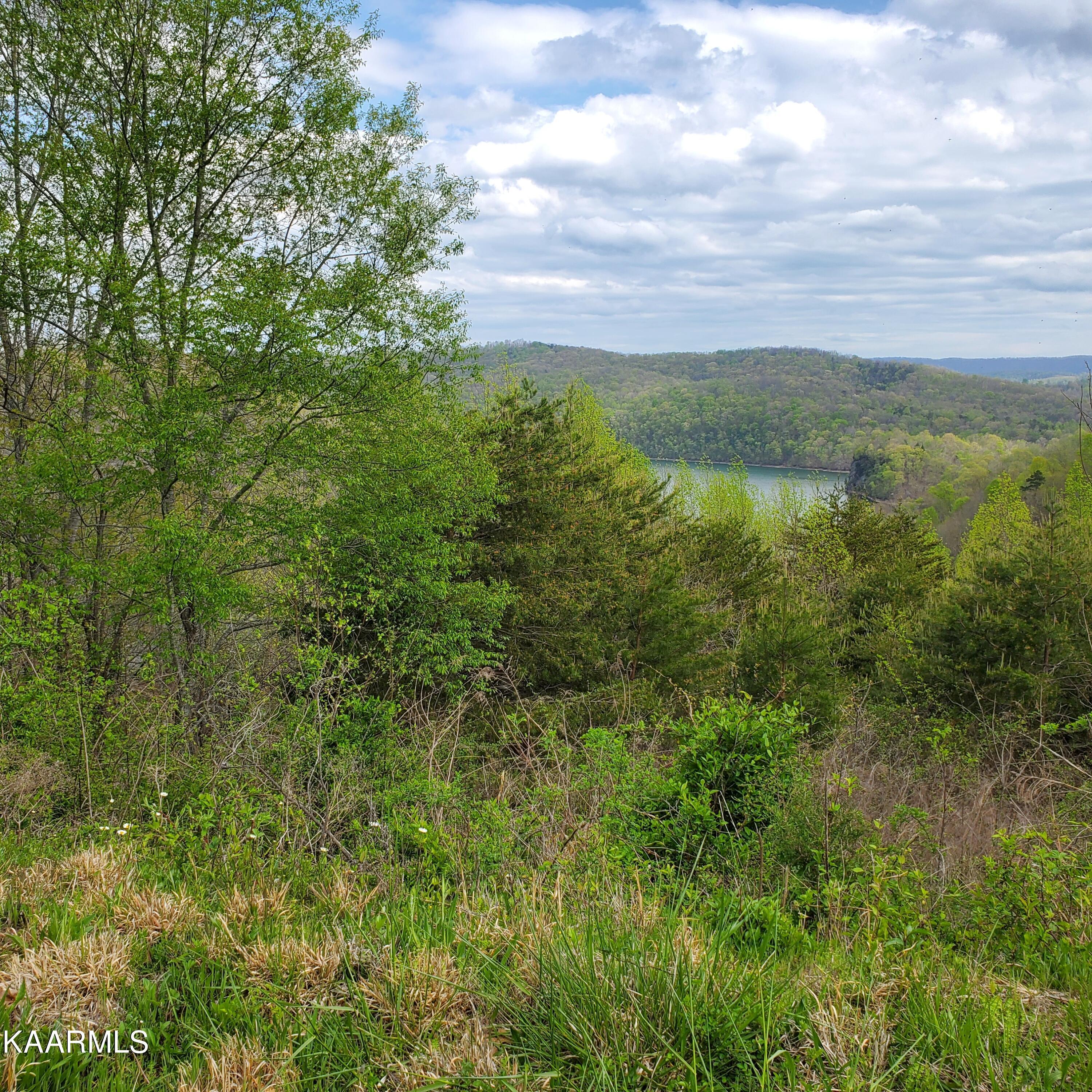 Norris Lake Real Estate - Image# 5