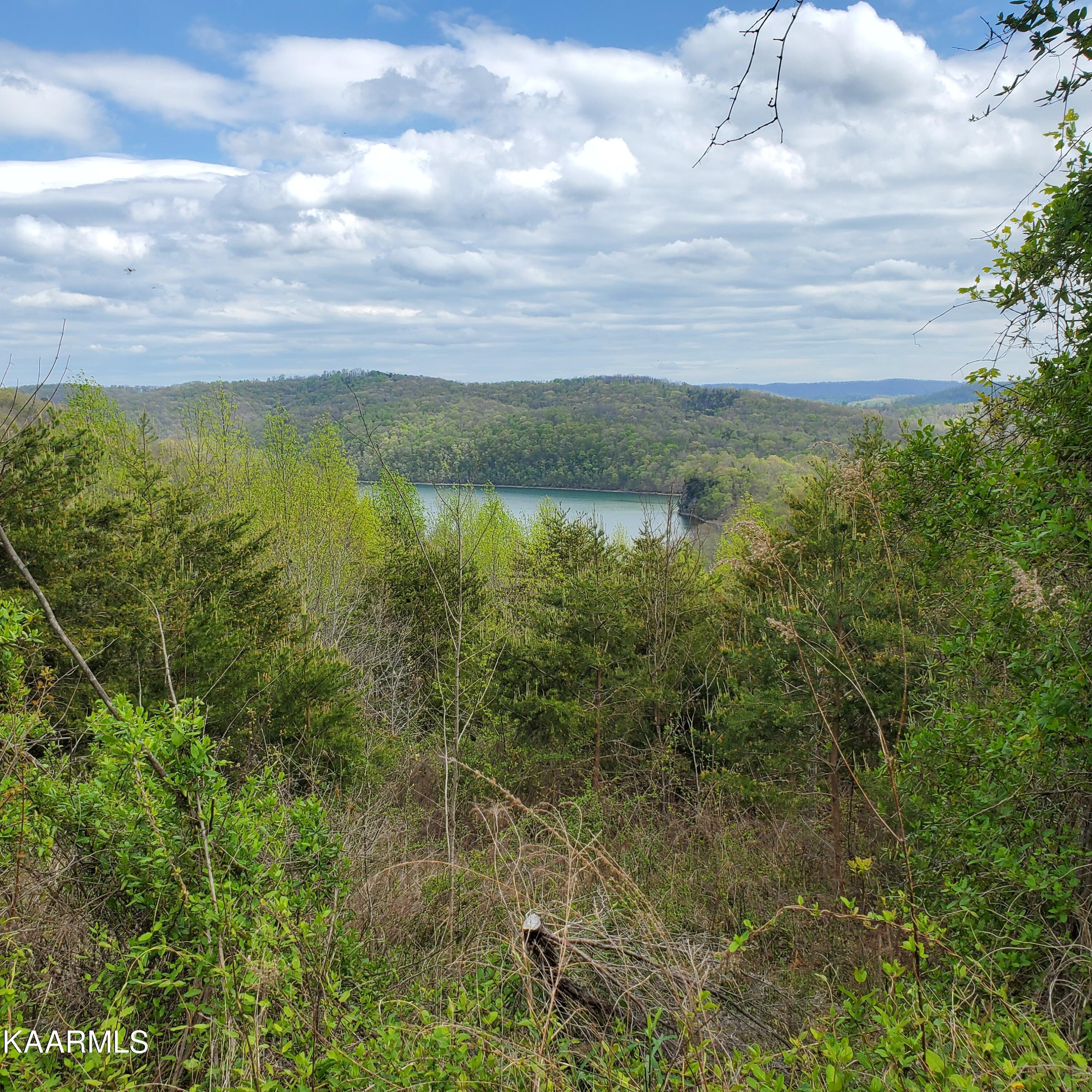 Norris Lake Real Estate - Image# 9