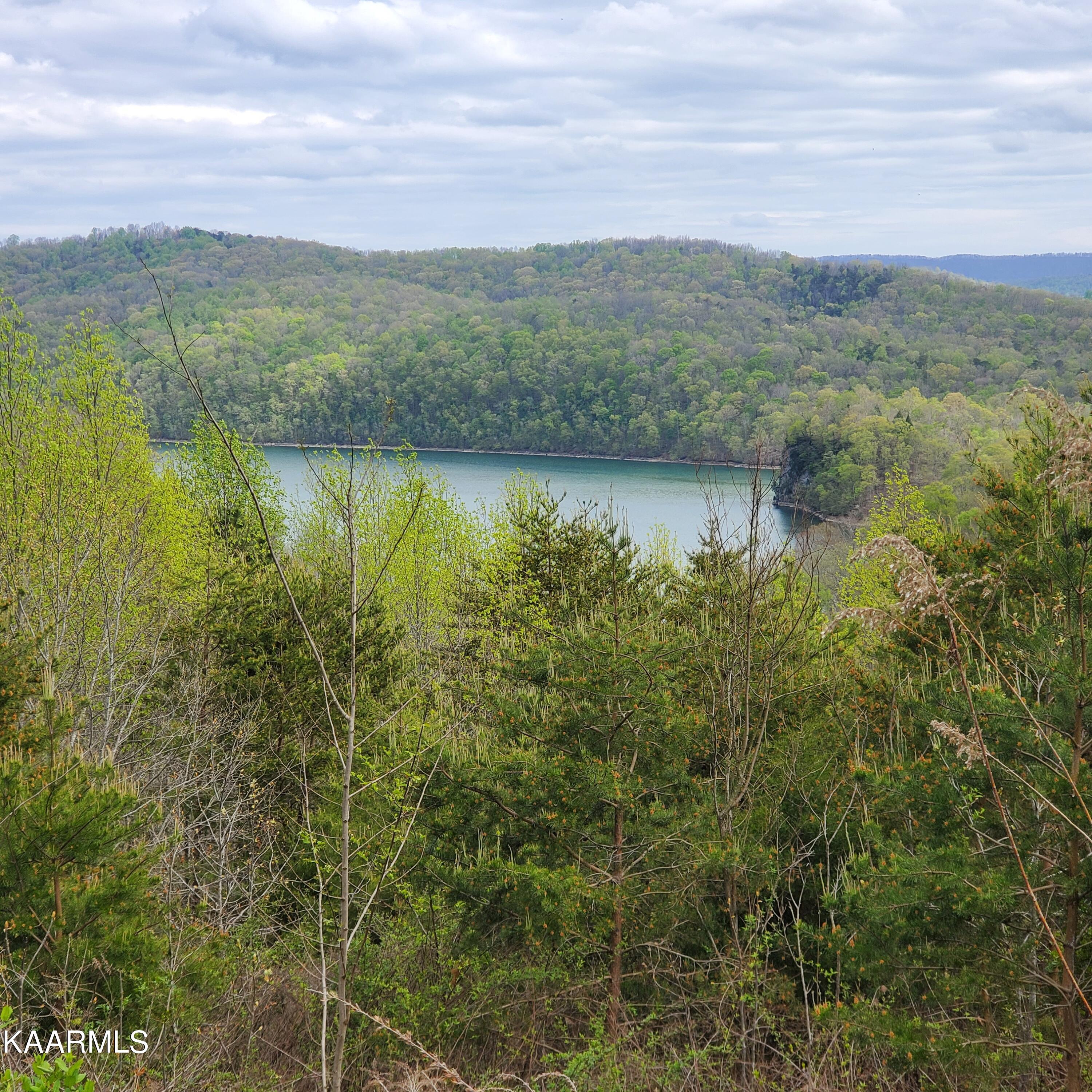 Norris Lake Real Estate - Image# 11