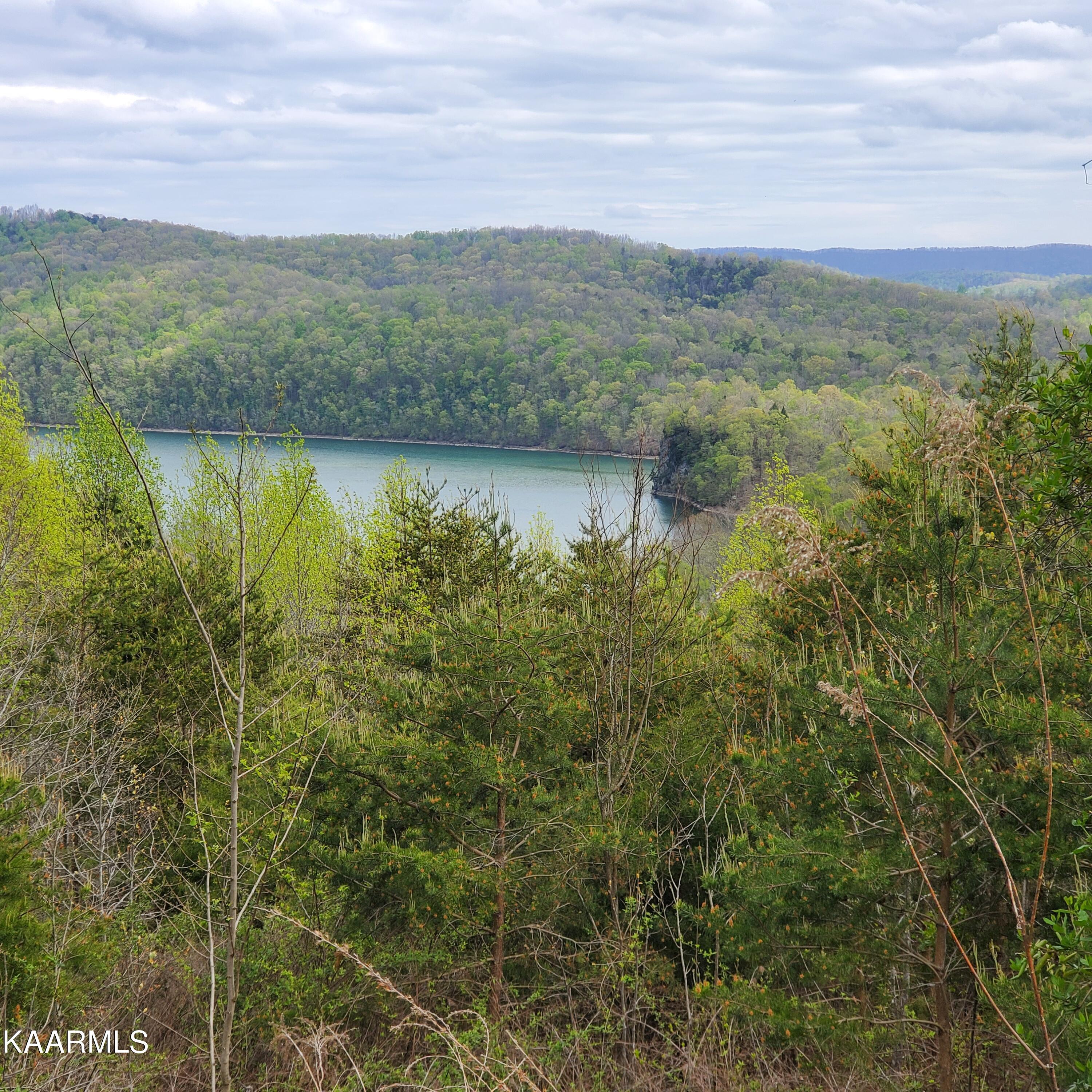 Norris Lake Real Estate - Image# 13