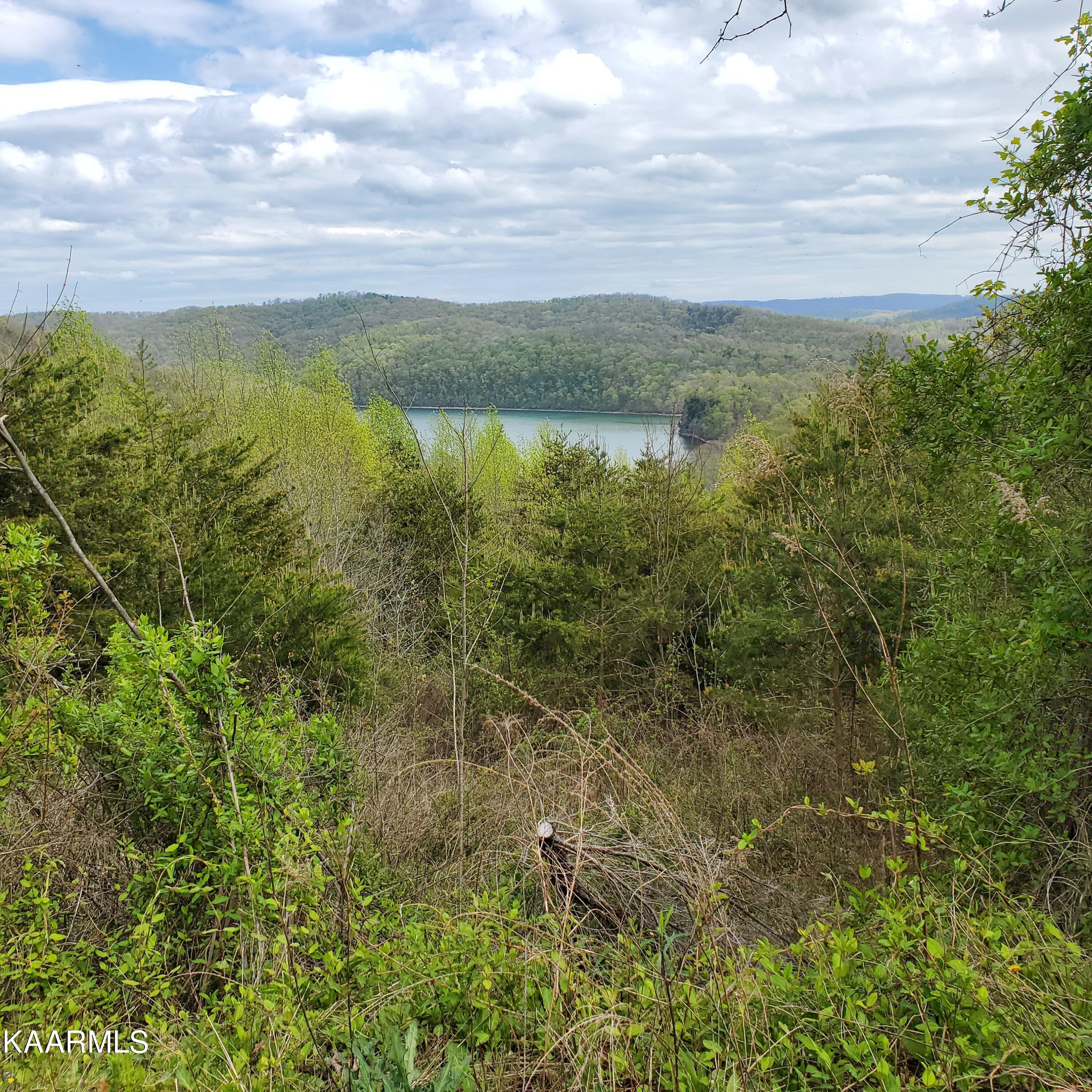 Norris Lake Real Estate - Image# 15