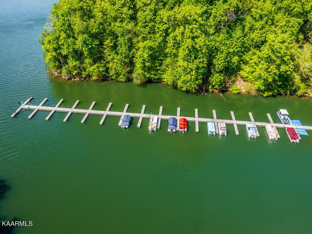 Norris Lake Real Estate - Image# 23