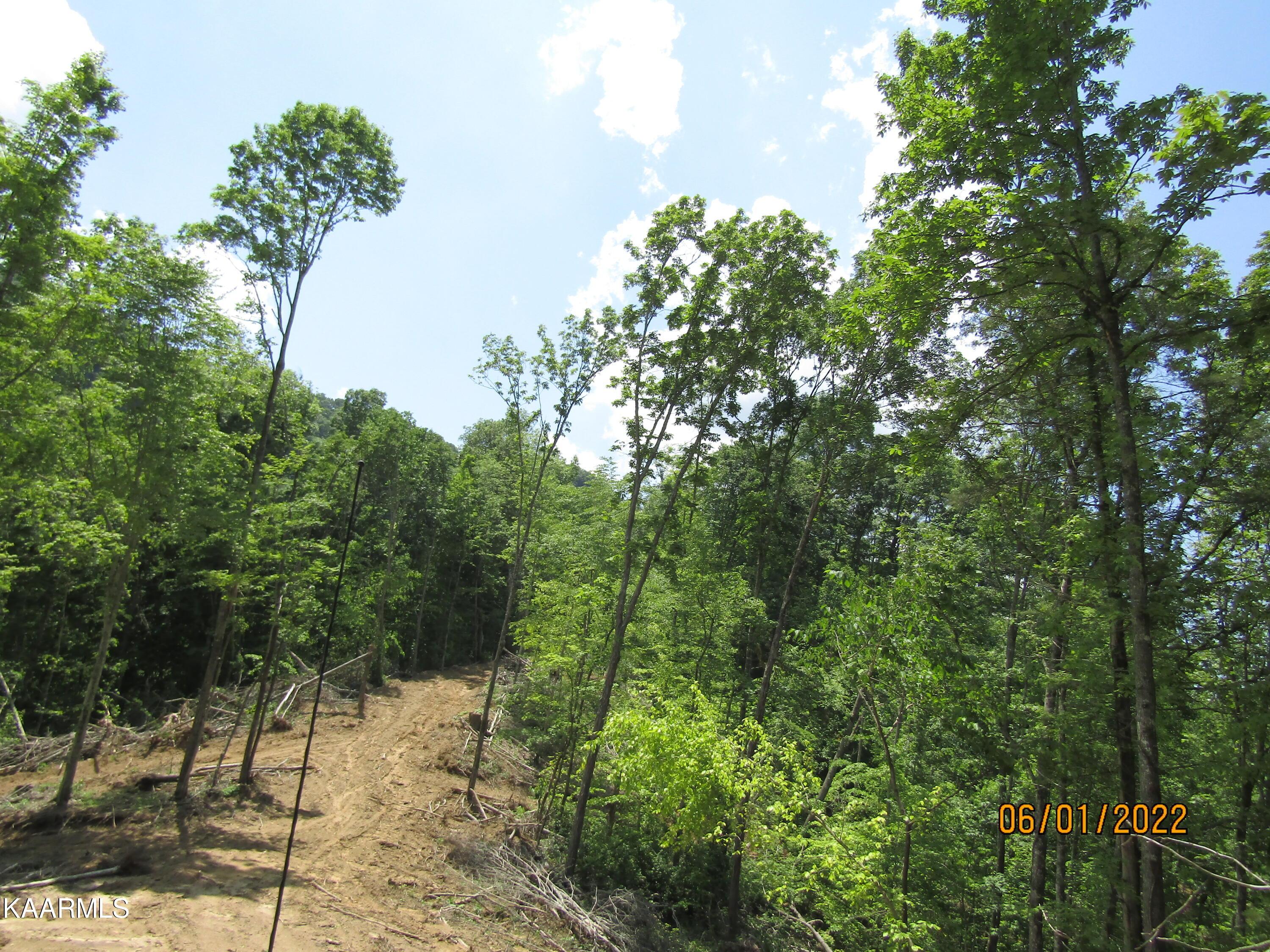 Norris Lake Real Estate - Image# 28