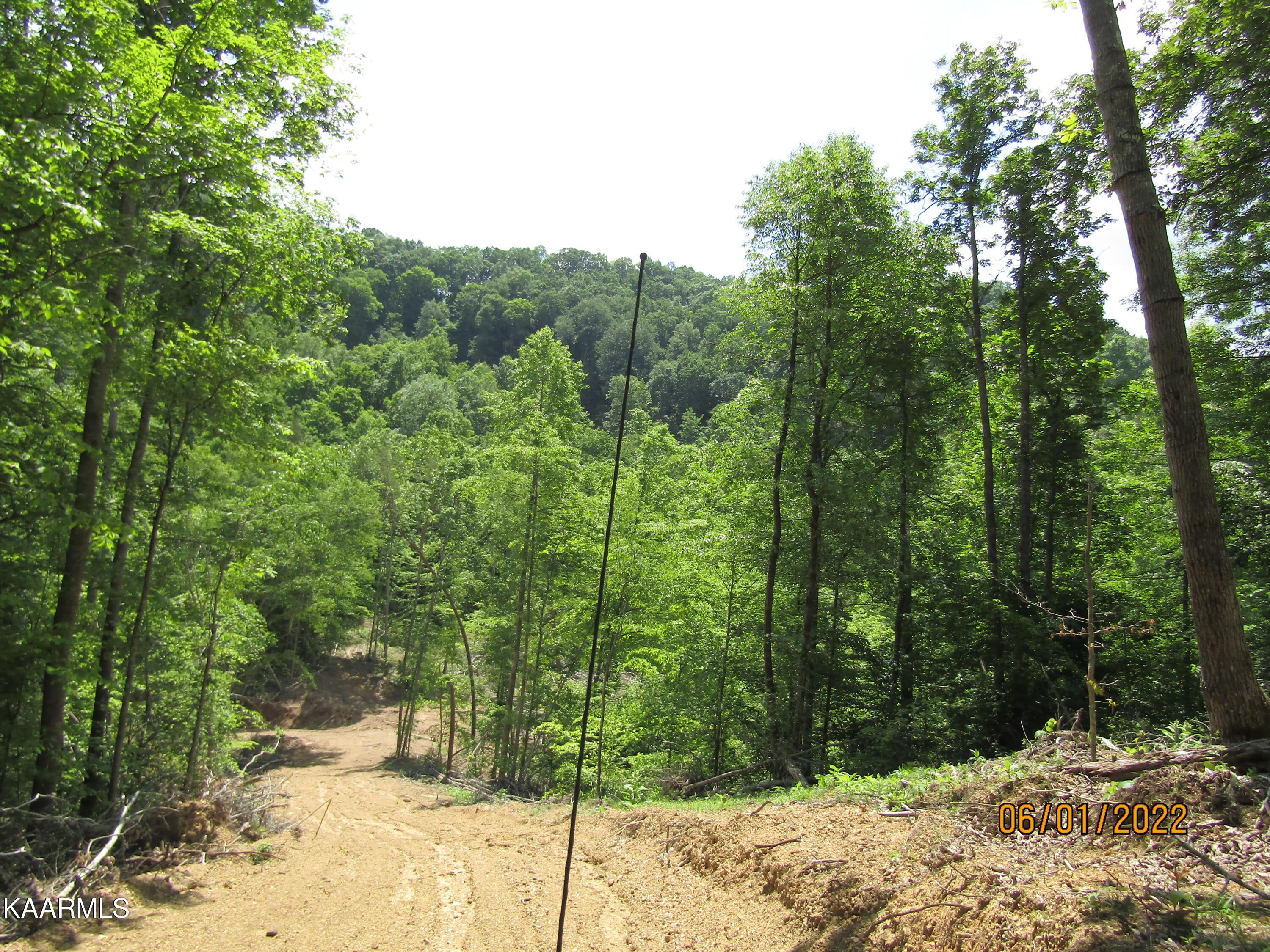 Norris Lake Real Estate - Image# 40