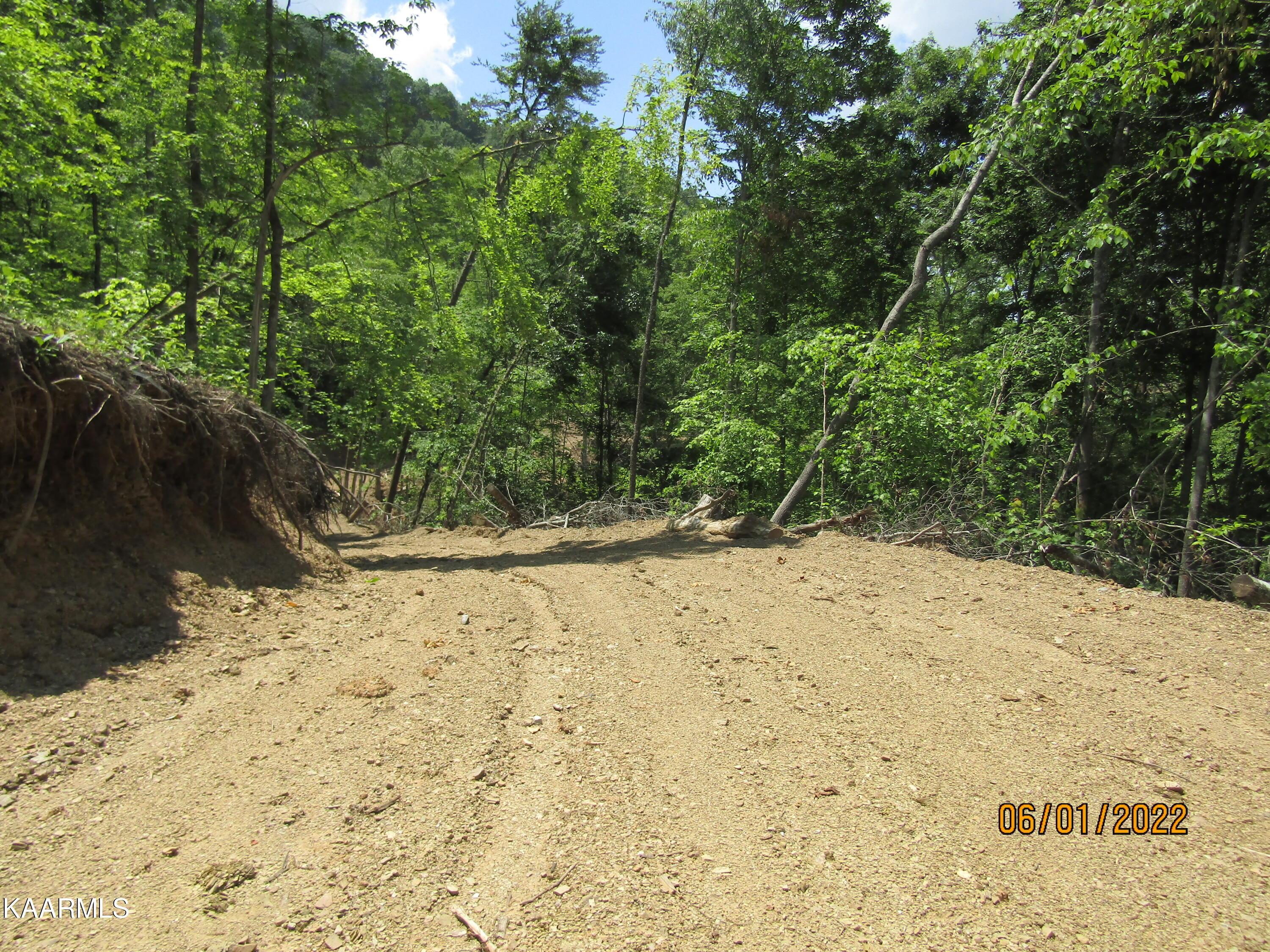 Norris Lake Real Estate - Image# 25