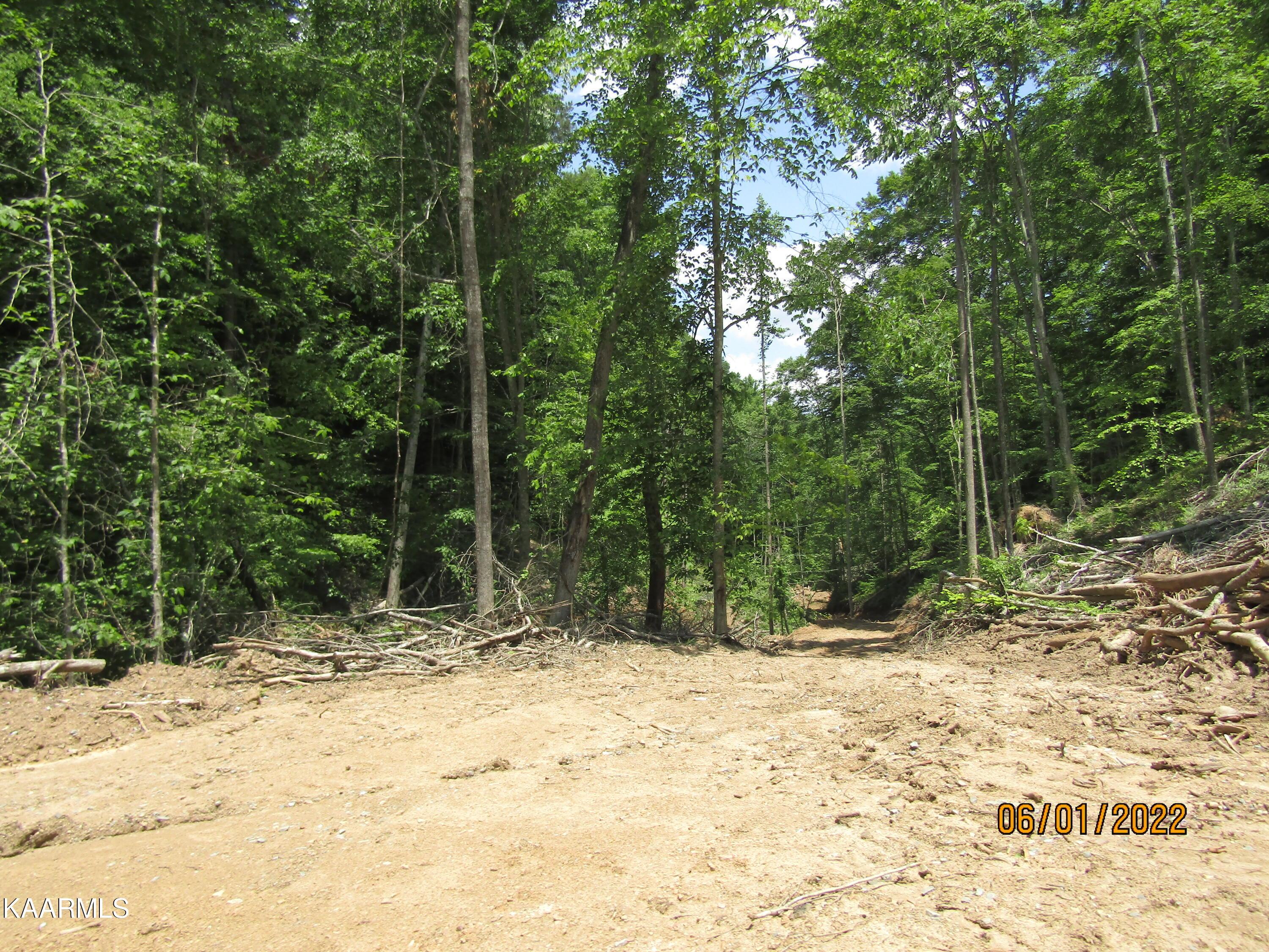 Norris Lake Real Estate - Image# 24