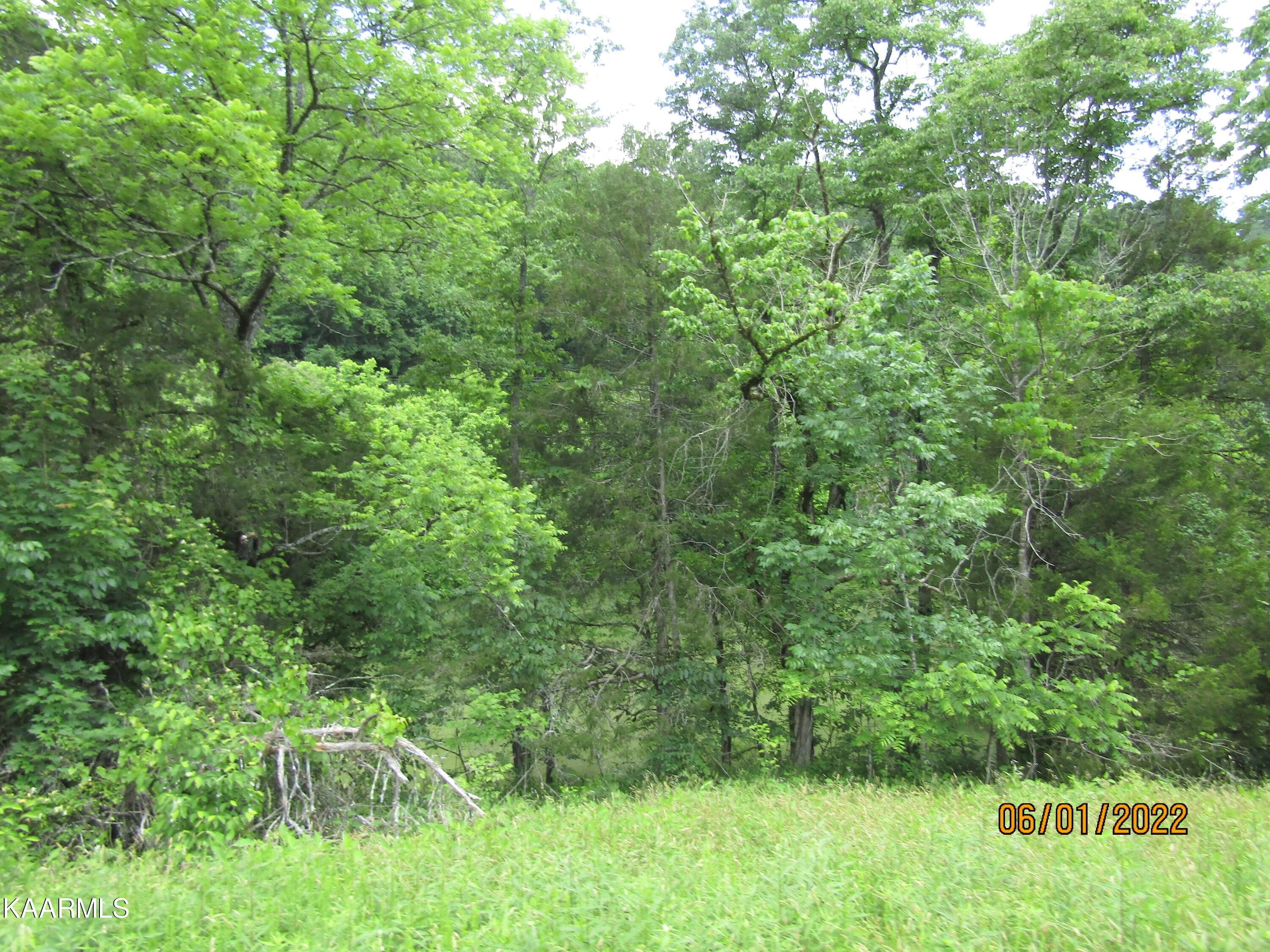 Norris Lake Real Estate - Image# 29