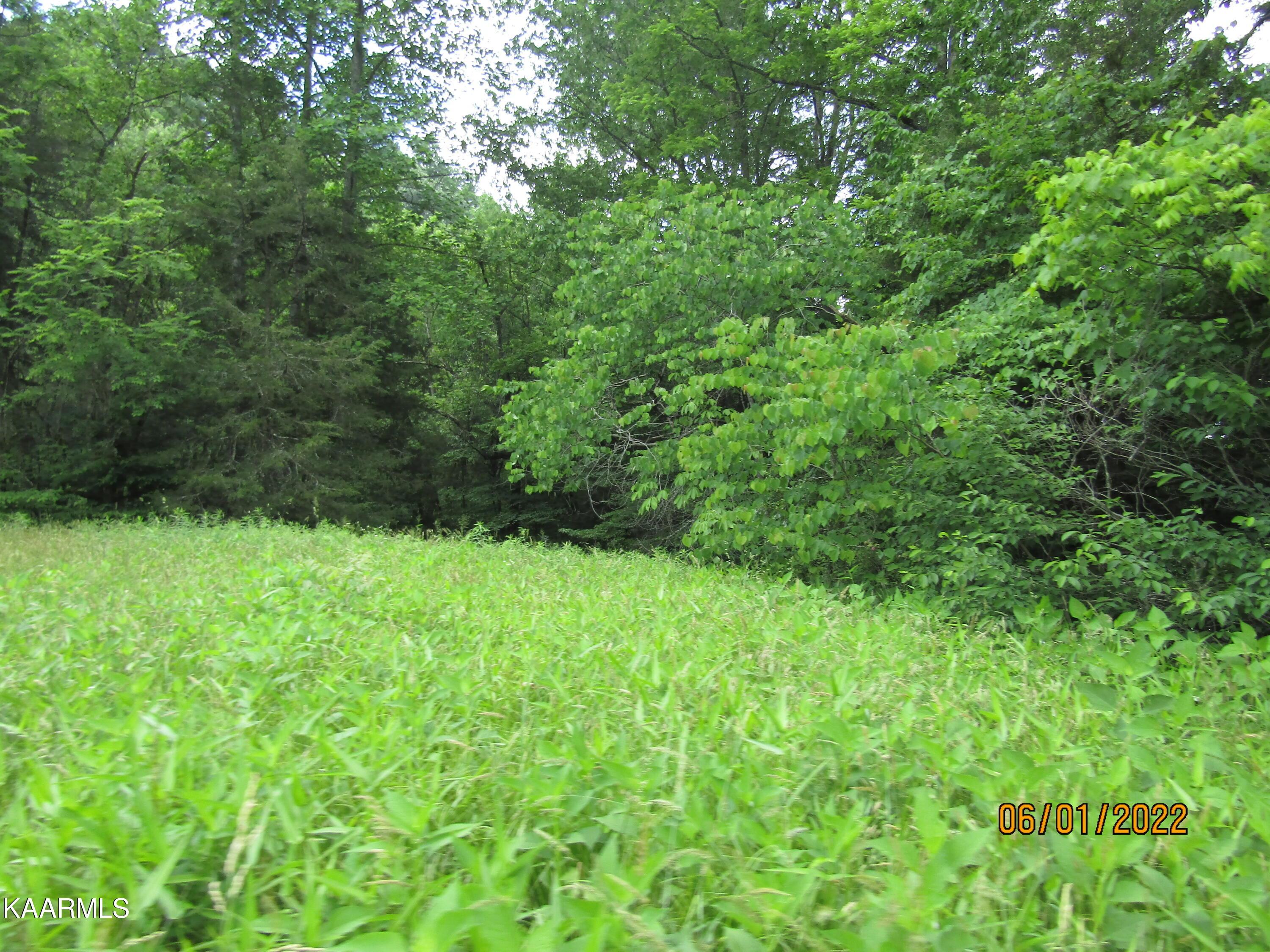 Norris Lake Real Estate - Image# 32