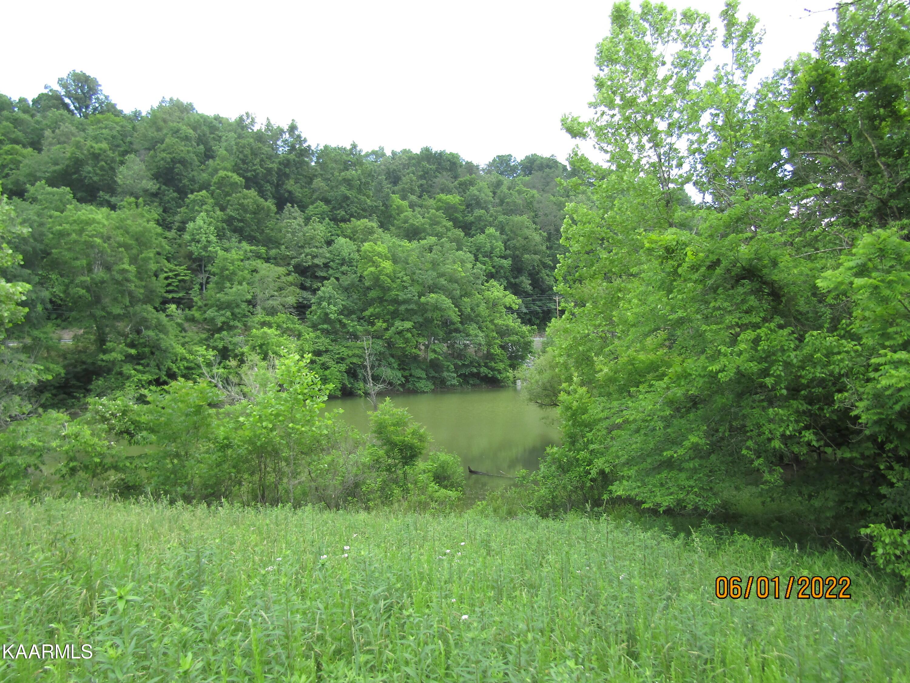 Norris Lake Real Estate - Image# 6