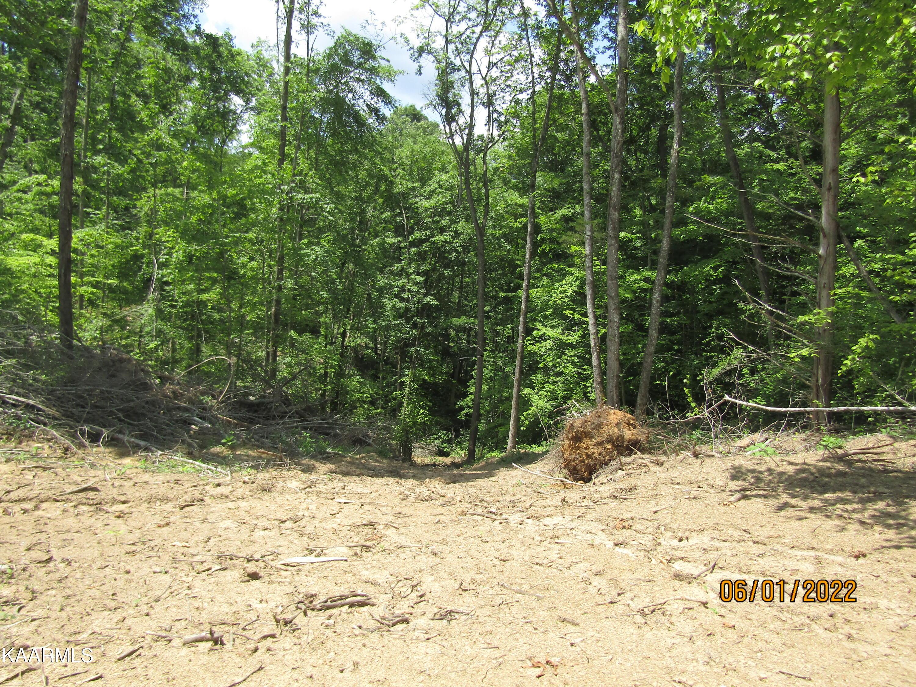 Norris Lake Real Estate - Image# 46