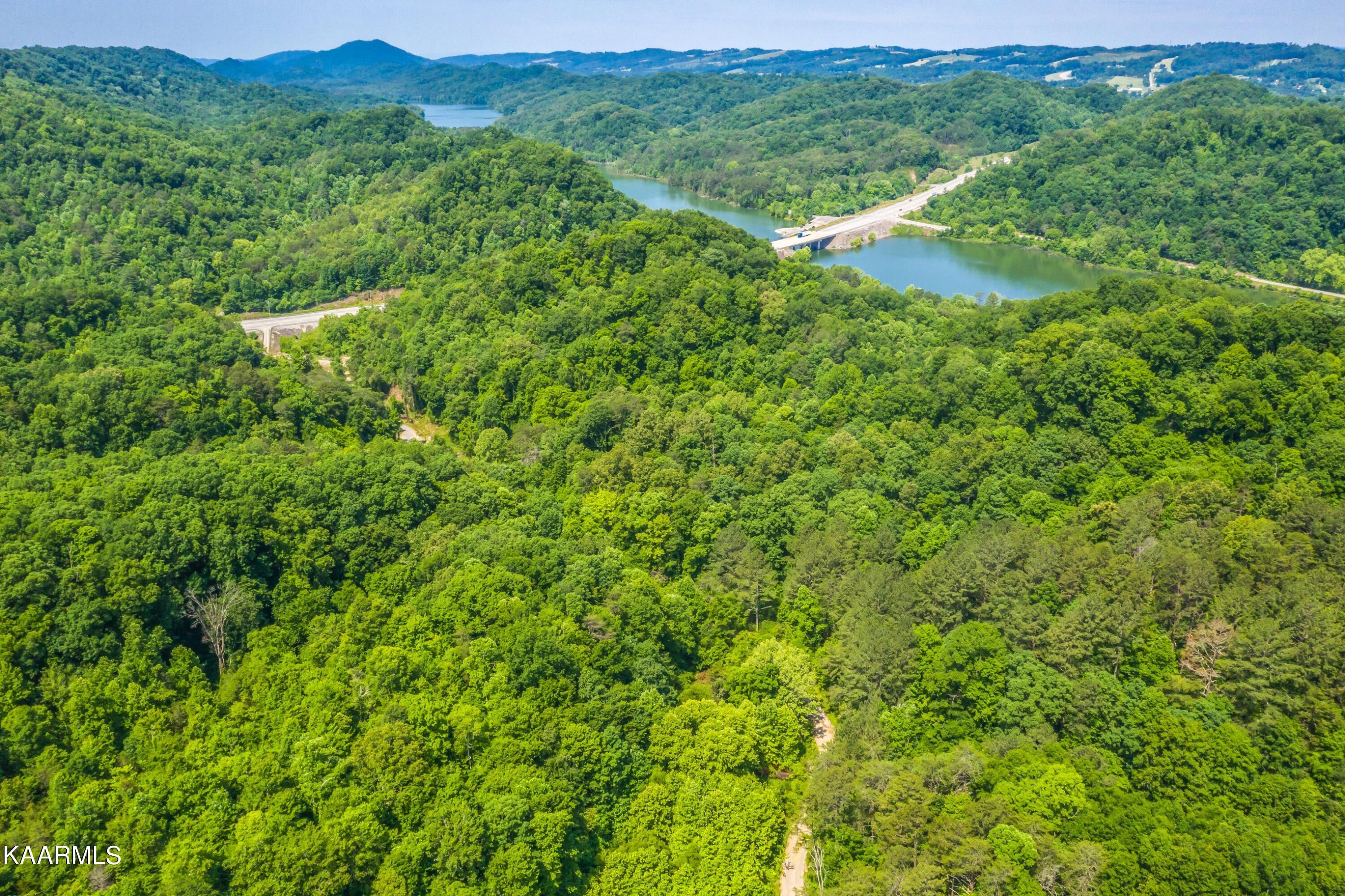 Norris Lake Real Estate - Image# 53