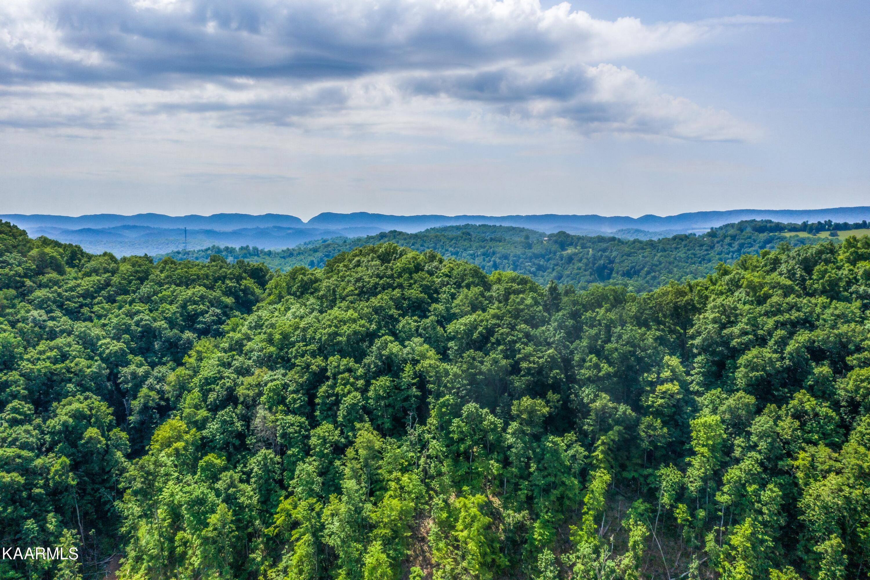 Norris Lake Real Estate - Image# 11