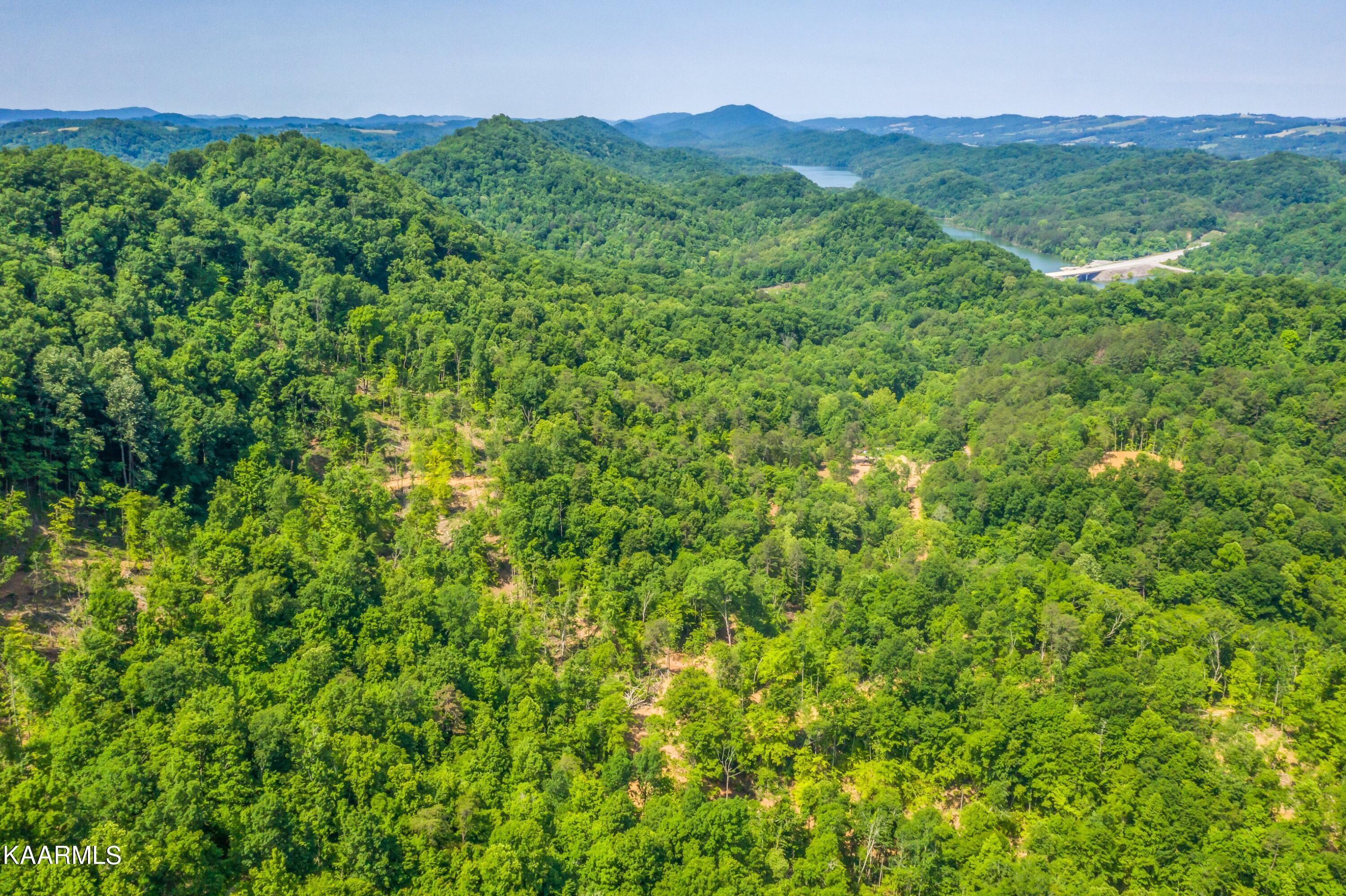 Norris Lake Real Estate - Image# 14