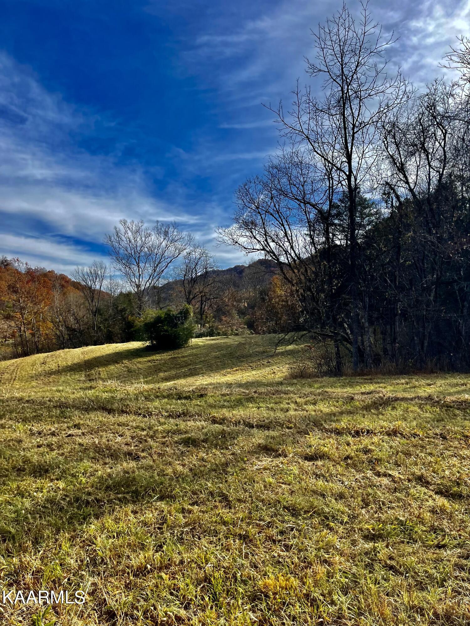 Norris Lake Real Estate - Image# 55