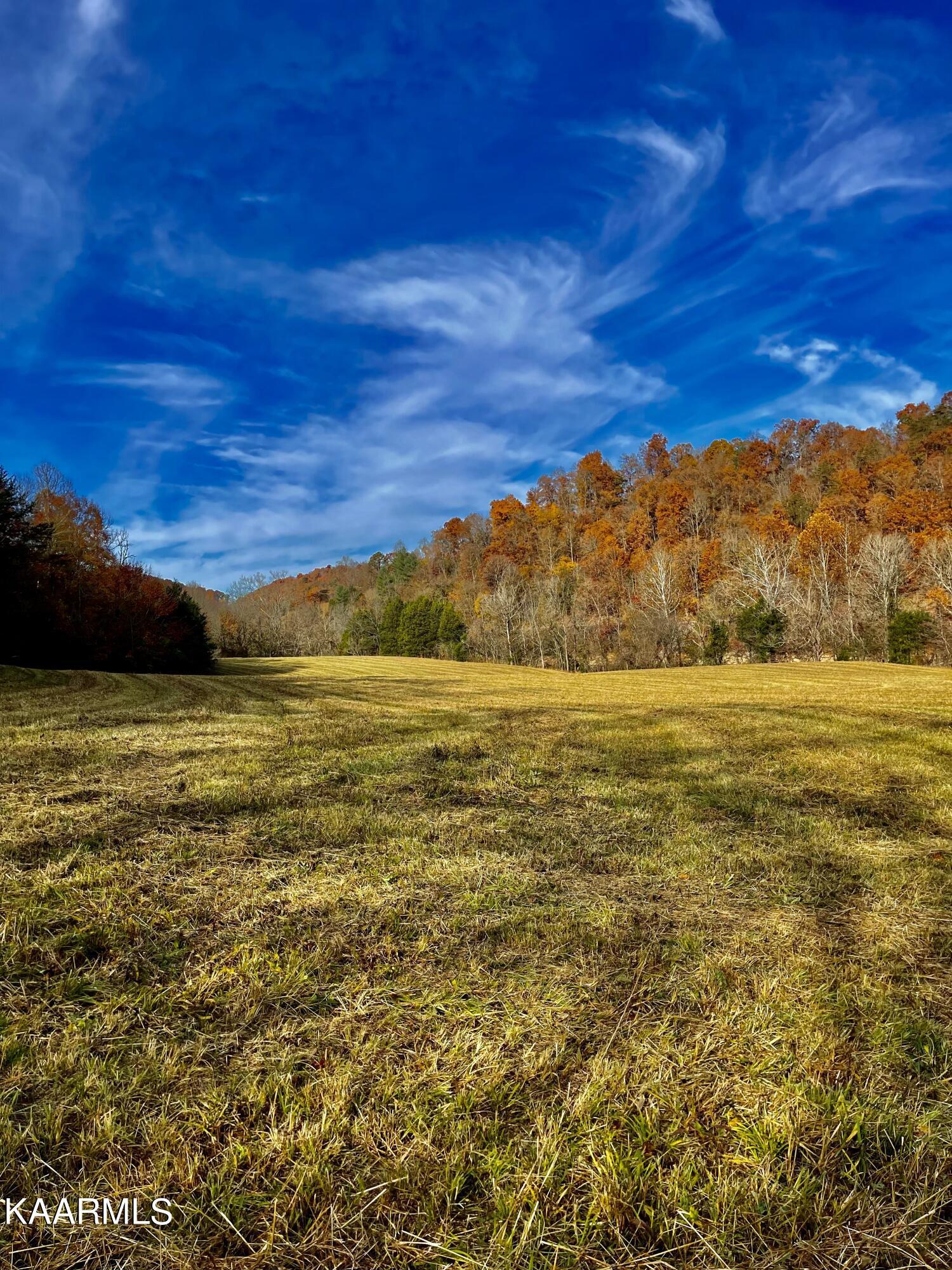 Norris Lake Real Estate - Image# 58