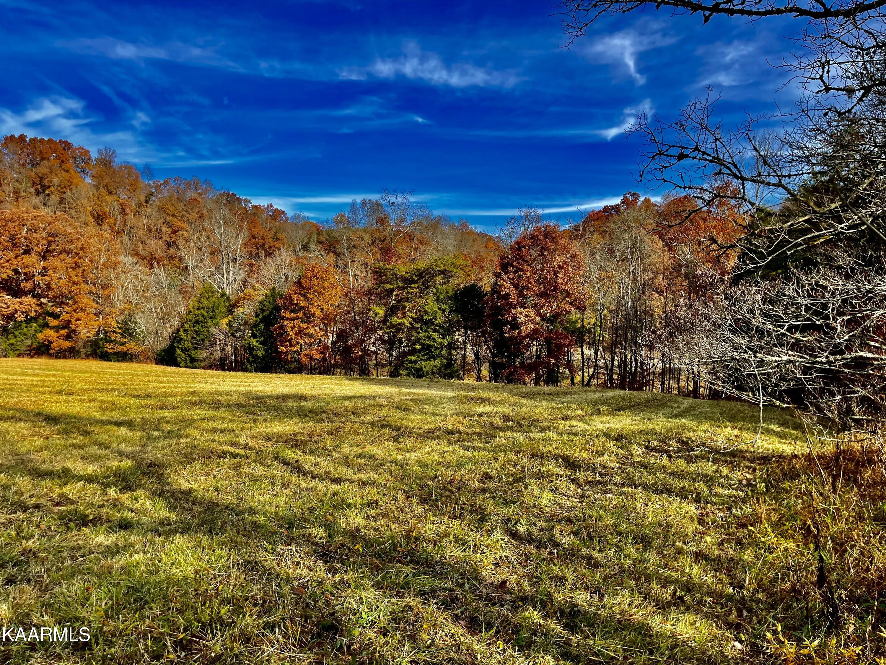 Norris Lake Real Estate - Image# 59