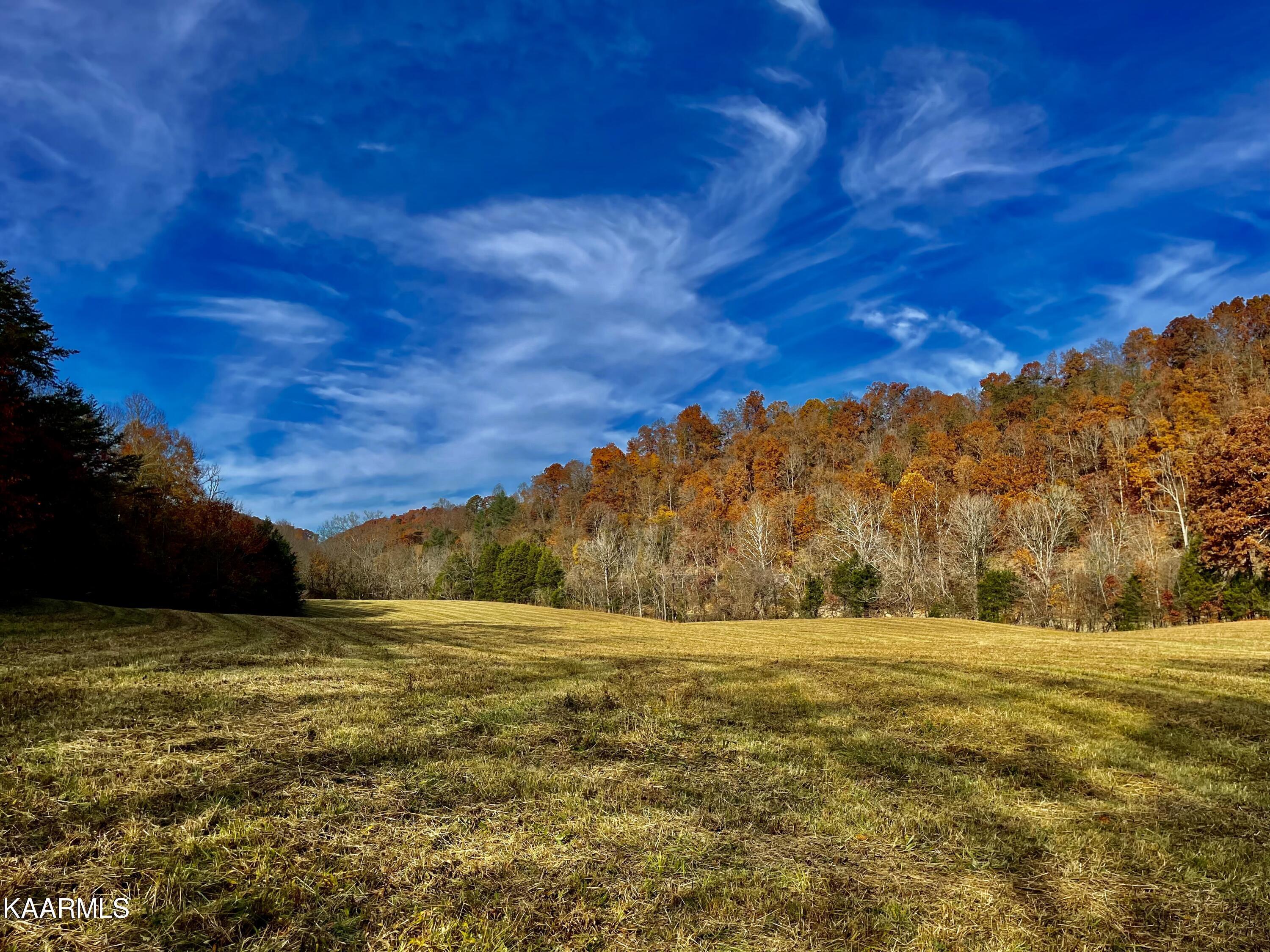 Norris Lake Real Estate - Image# 60