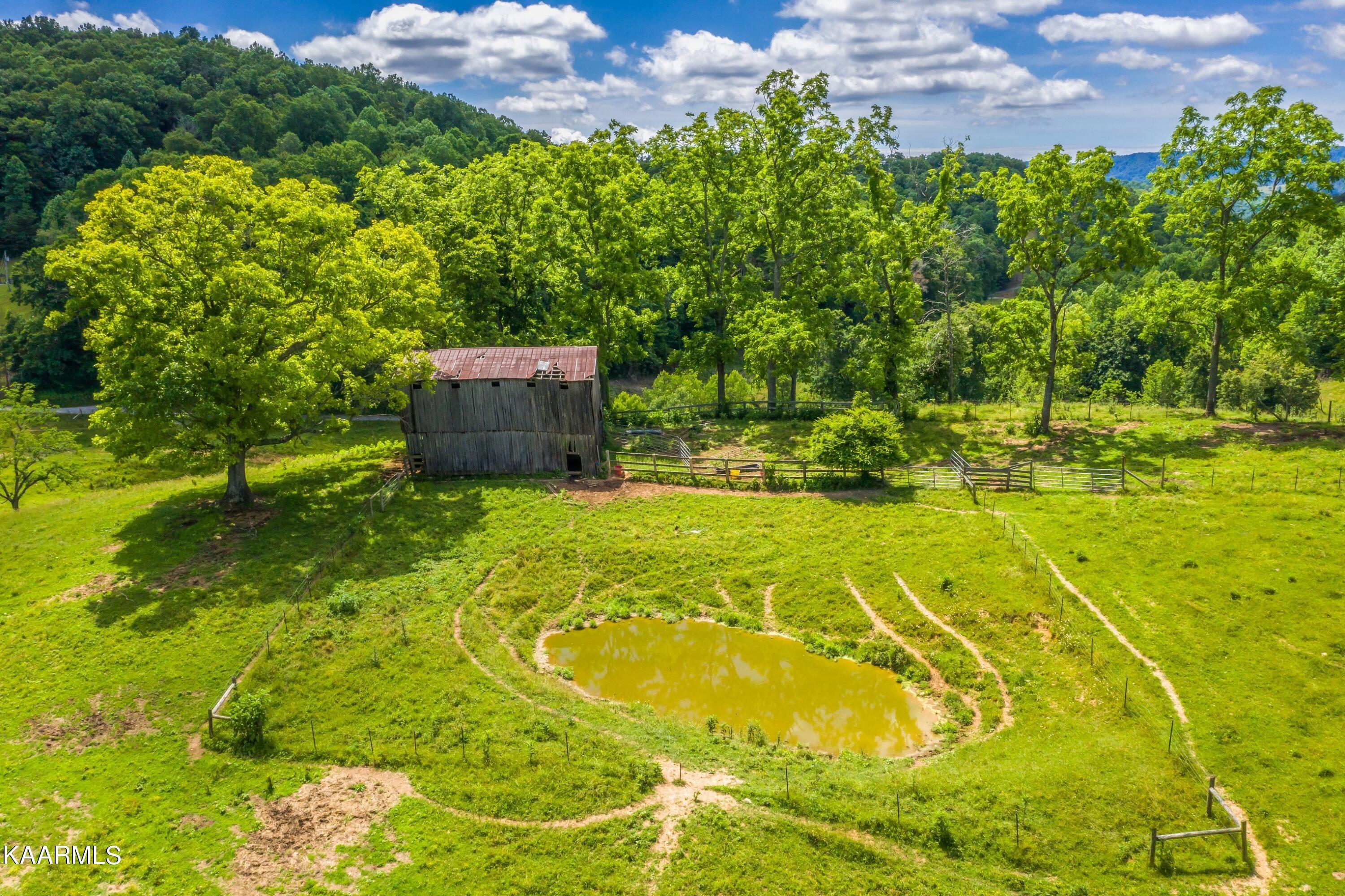 Norris Lake Real Estate - Image# 6