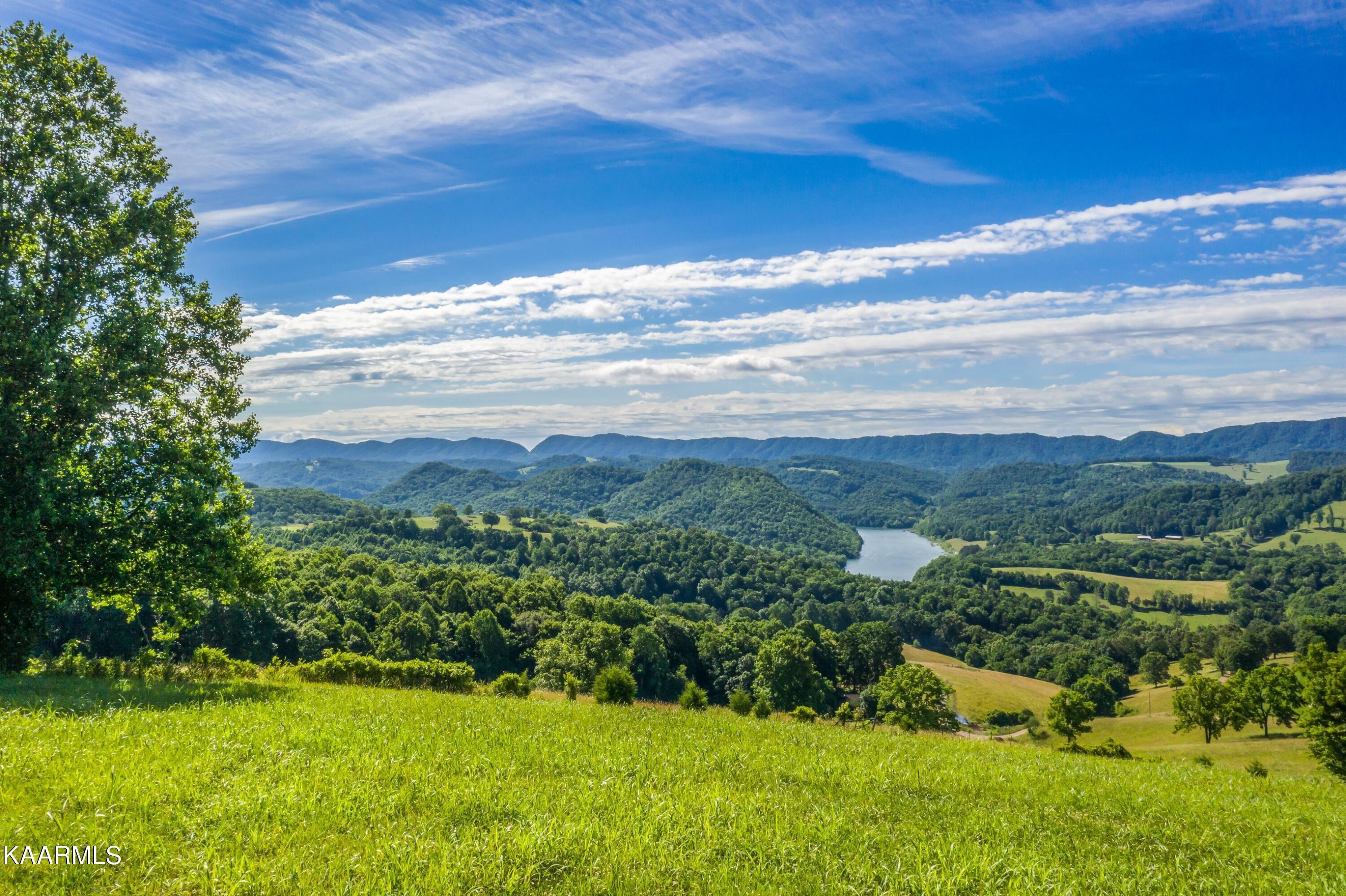 Norris Lake Real Estate - Image# 34