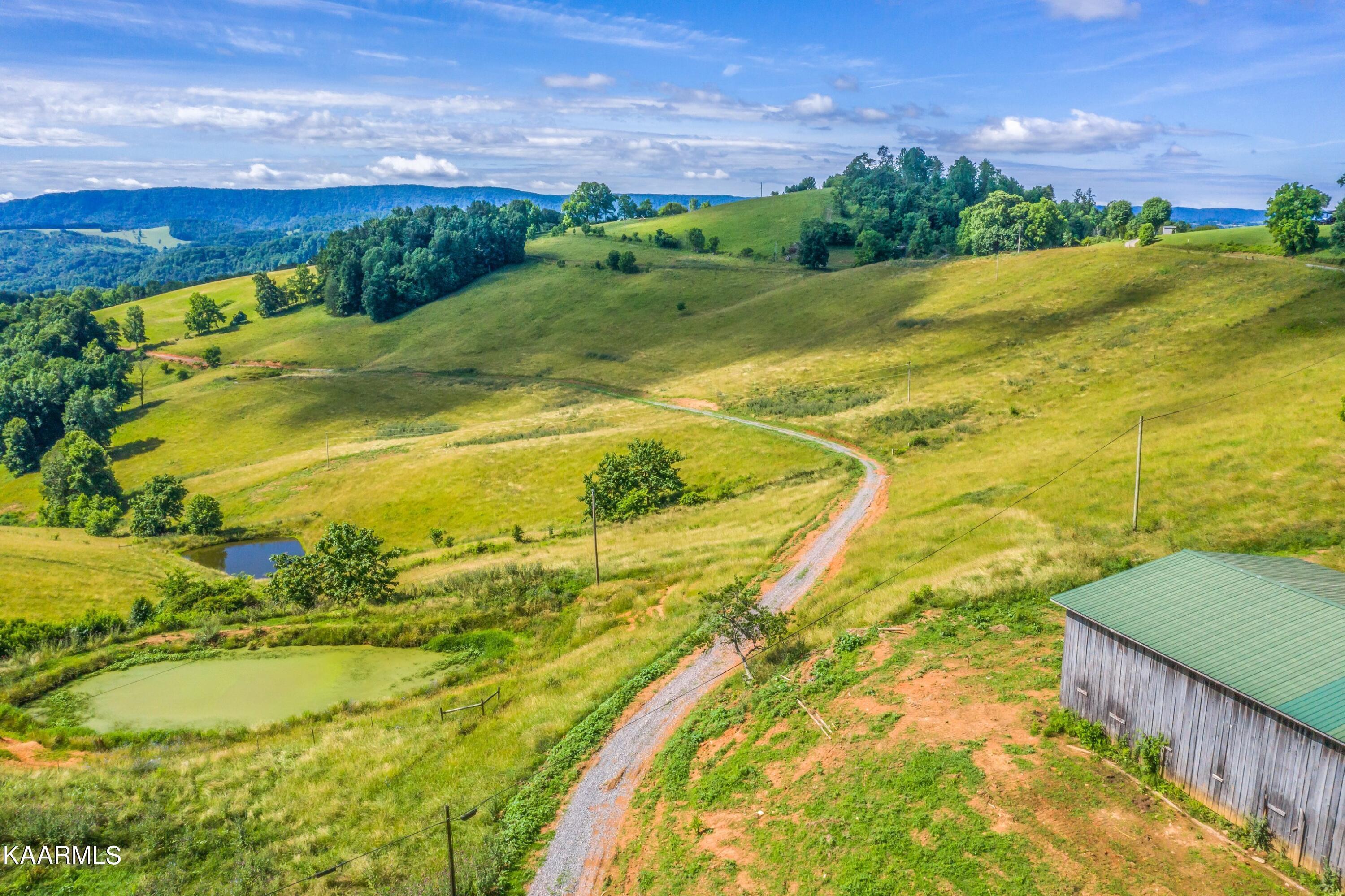 Norris Lake Real Estate - Image# 48