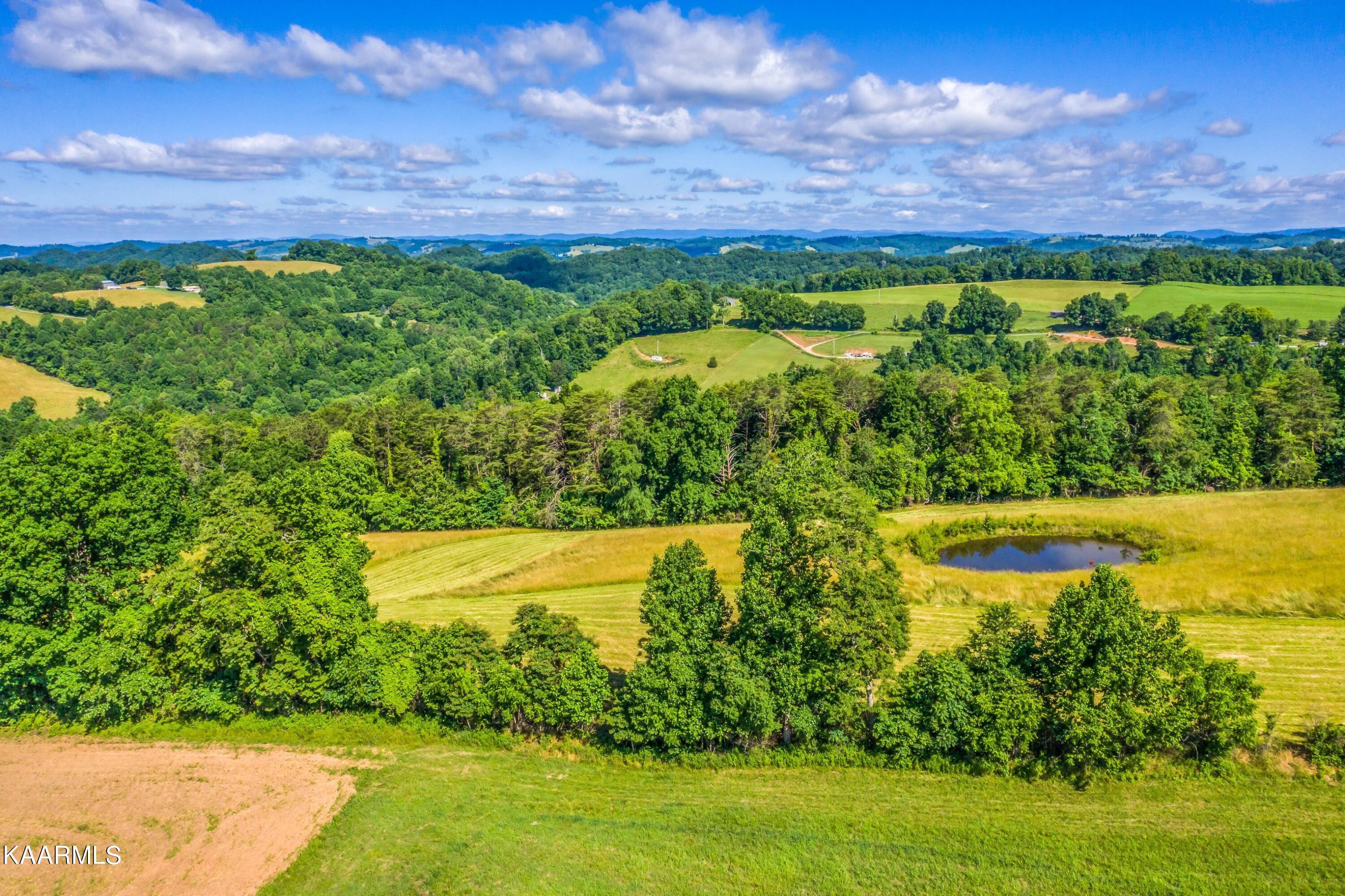 Norris Lake Real Estate - Image# 52