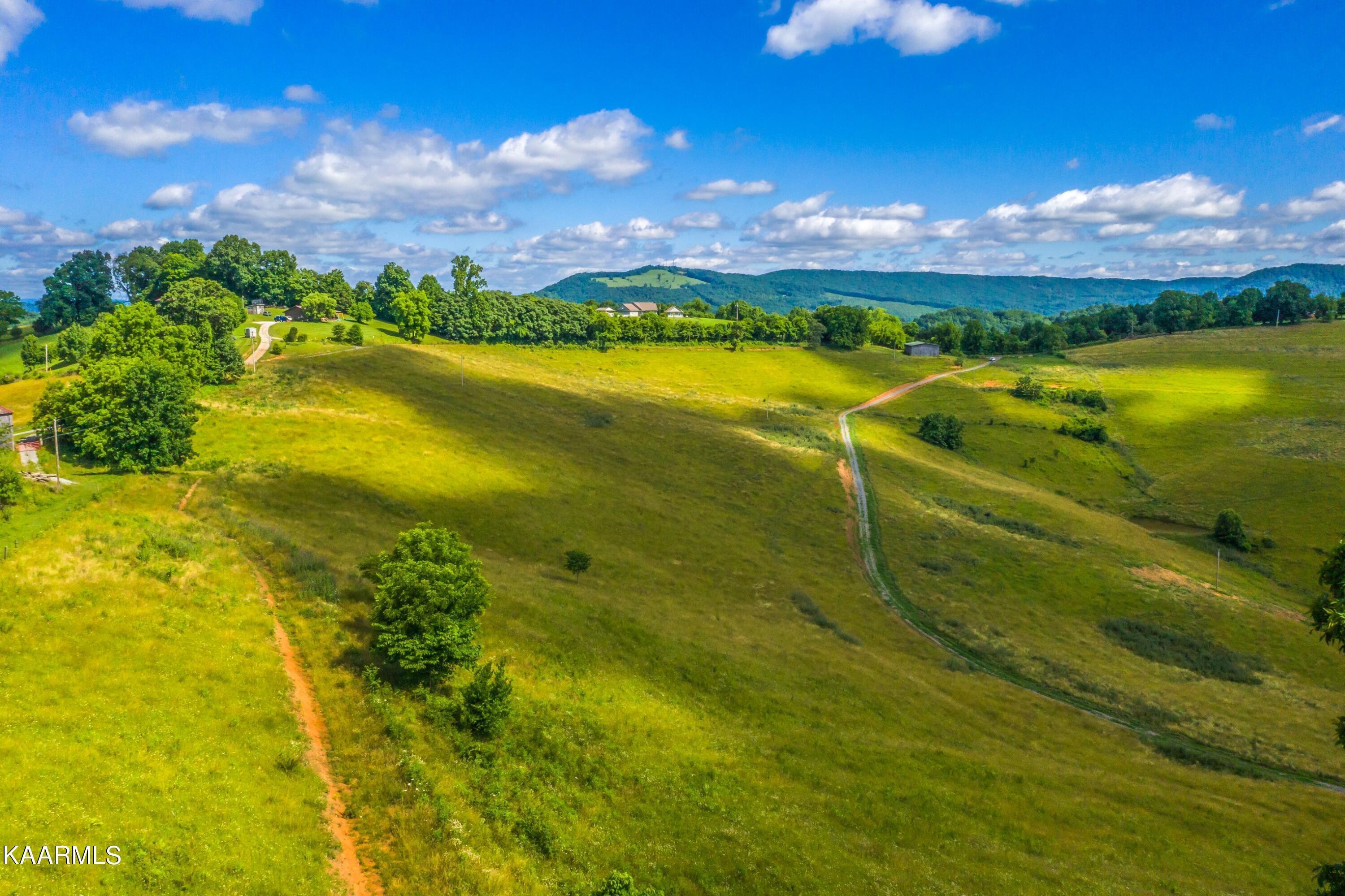 Norris Lake Real Estate - Image# 108