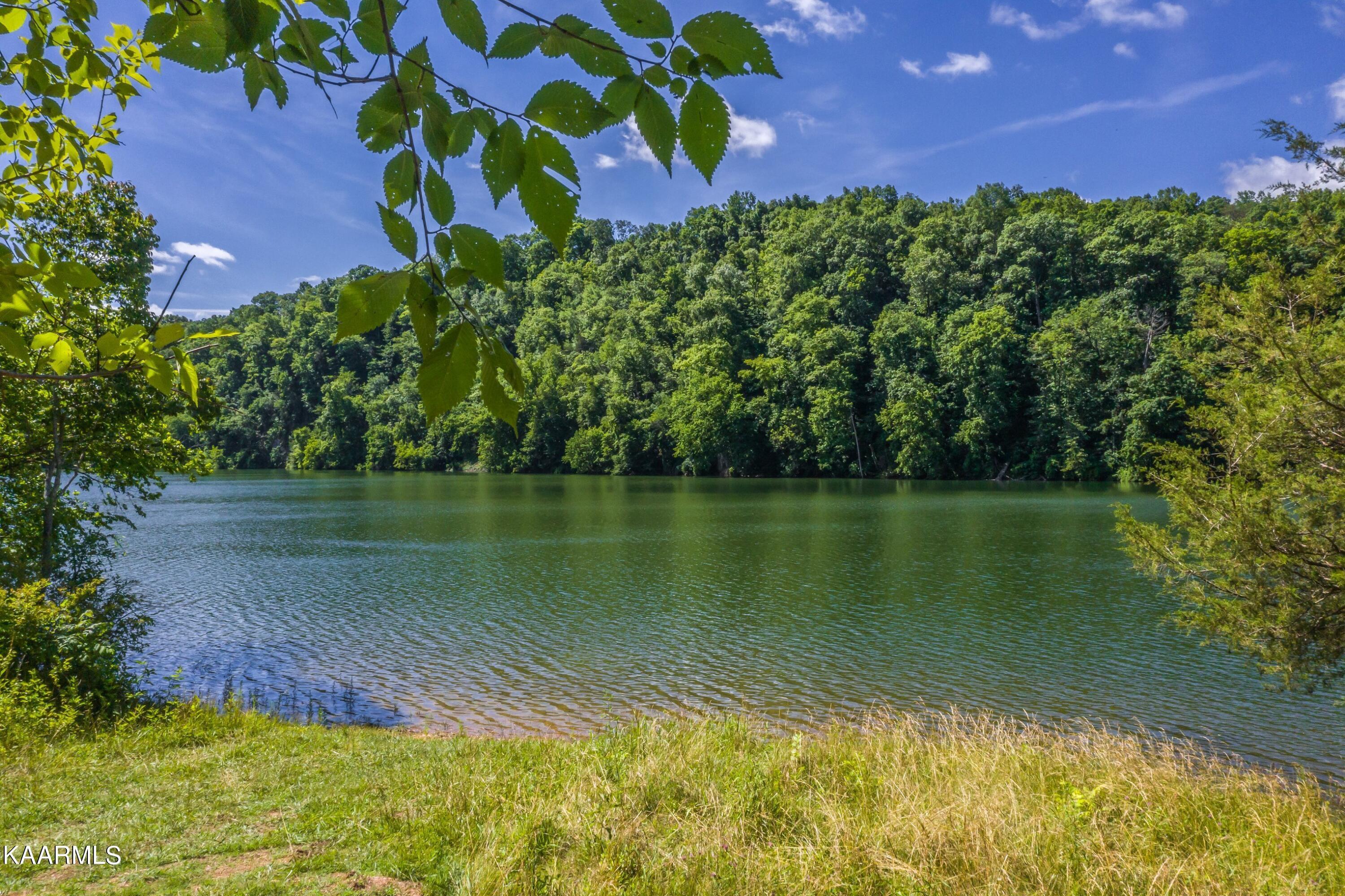 Norris Lake Real Estate - Image# 2