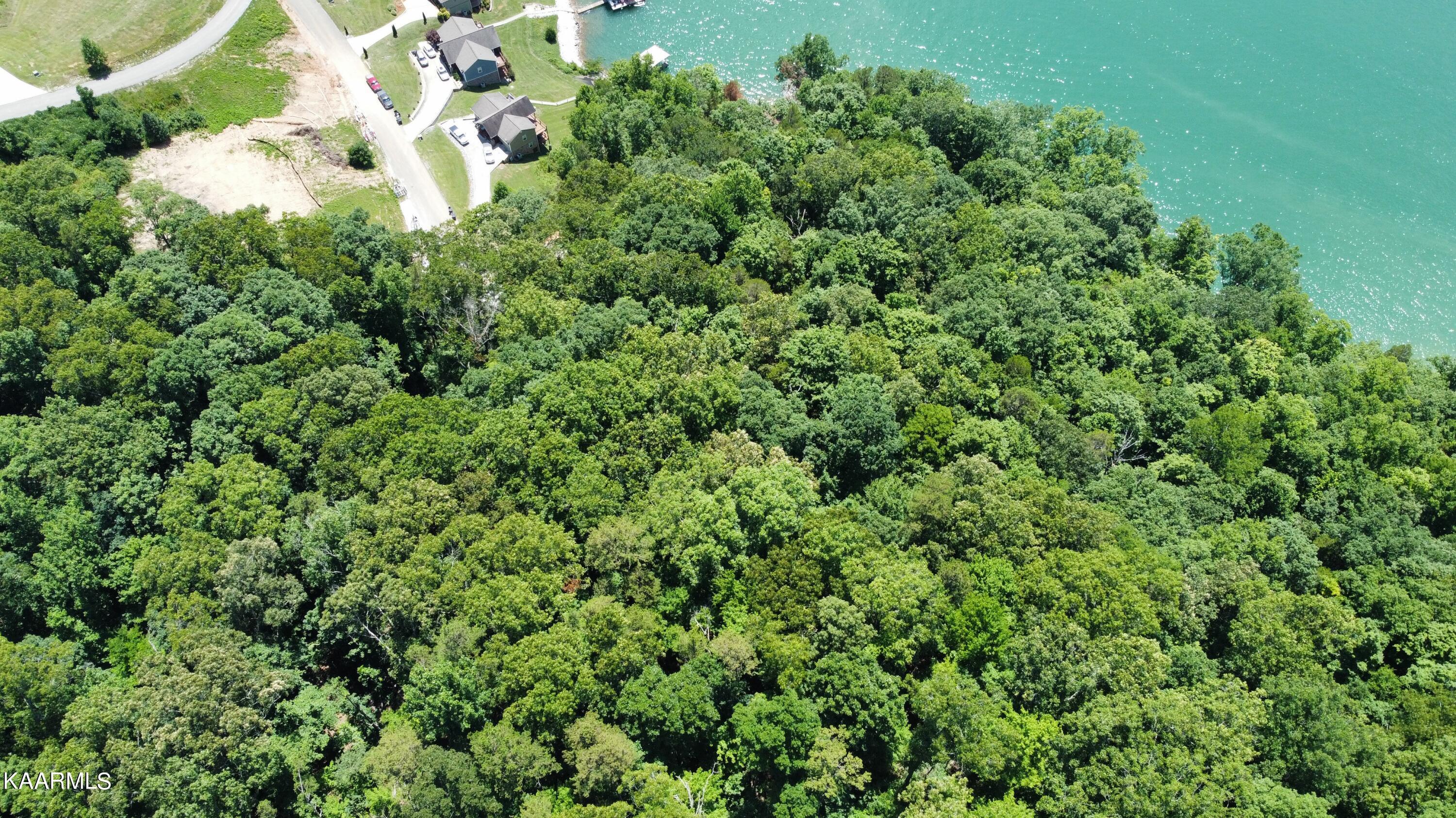 Norris Lake Real Estate - Image# 19