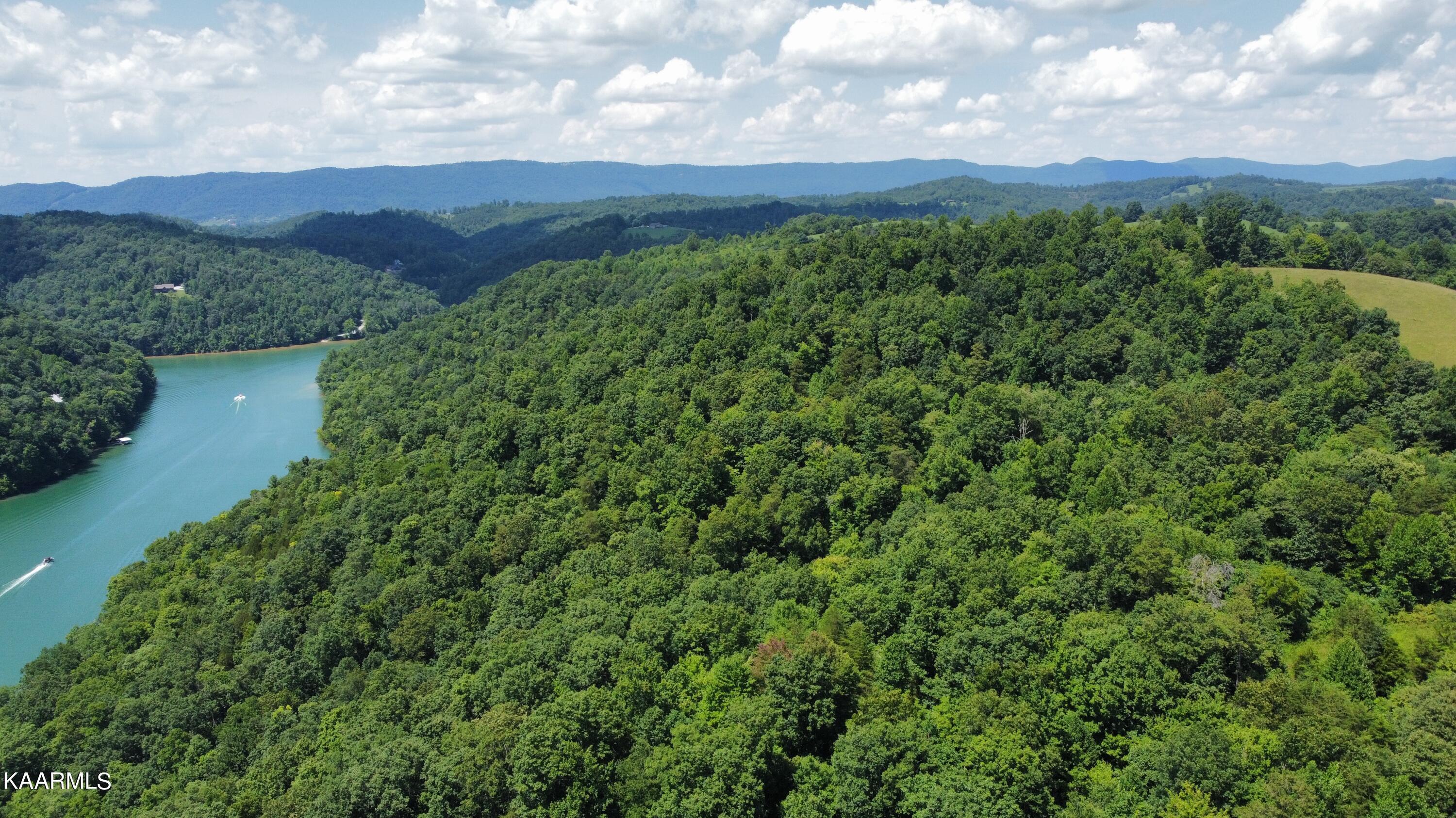 Norris Lake Real Estate - Image# 25