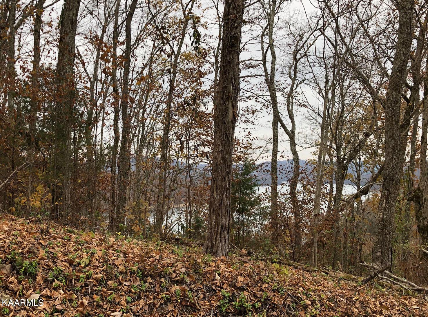 Norris Lake Real Estate - Image# 8