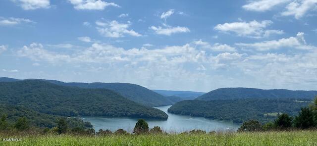 Norris Lake Real Estate - Image# 3