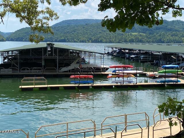 Norris Lake Real Estate - Image# 4