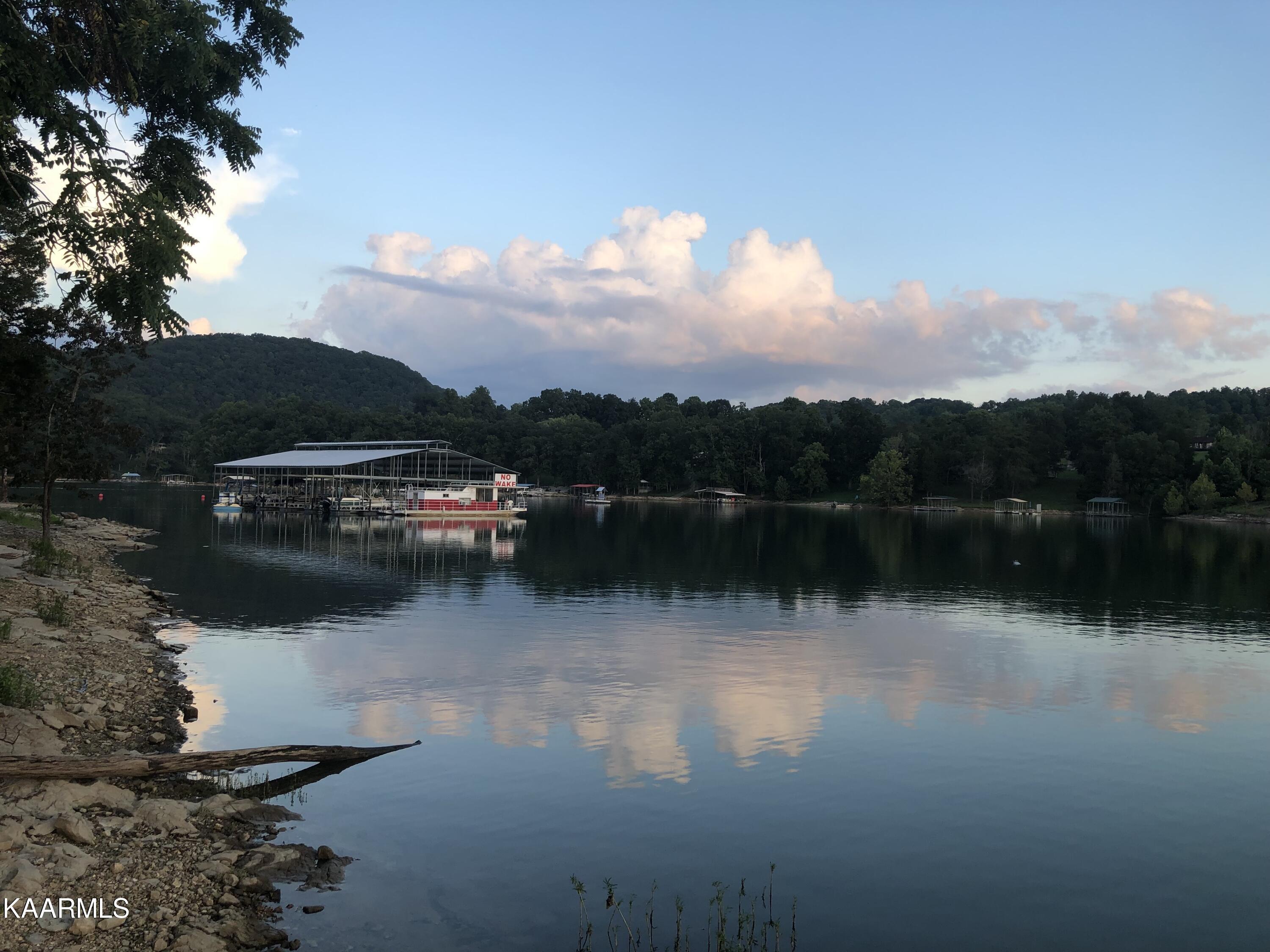 Norris Lake Real Estate - Image# 11