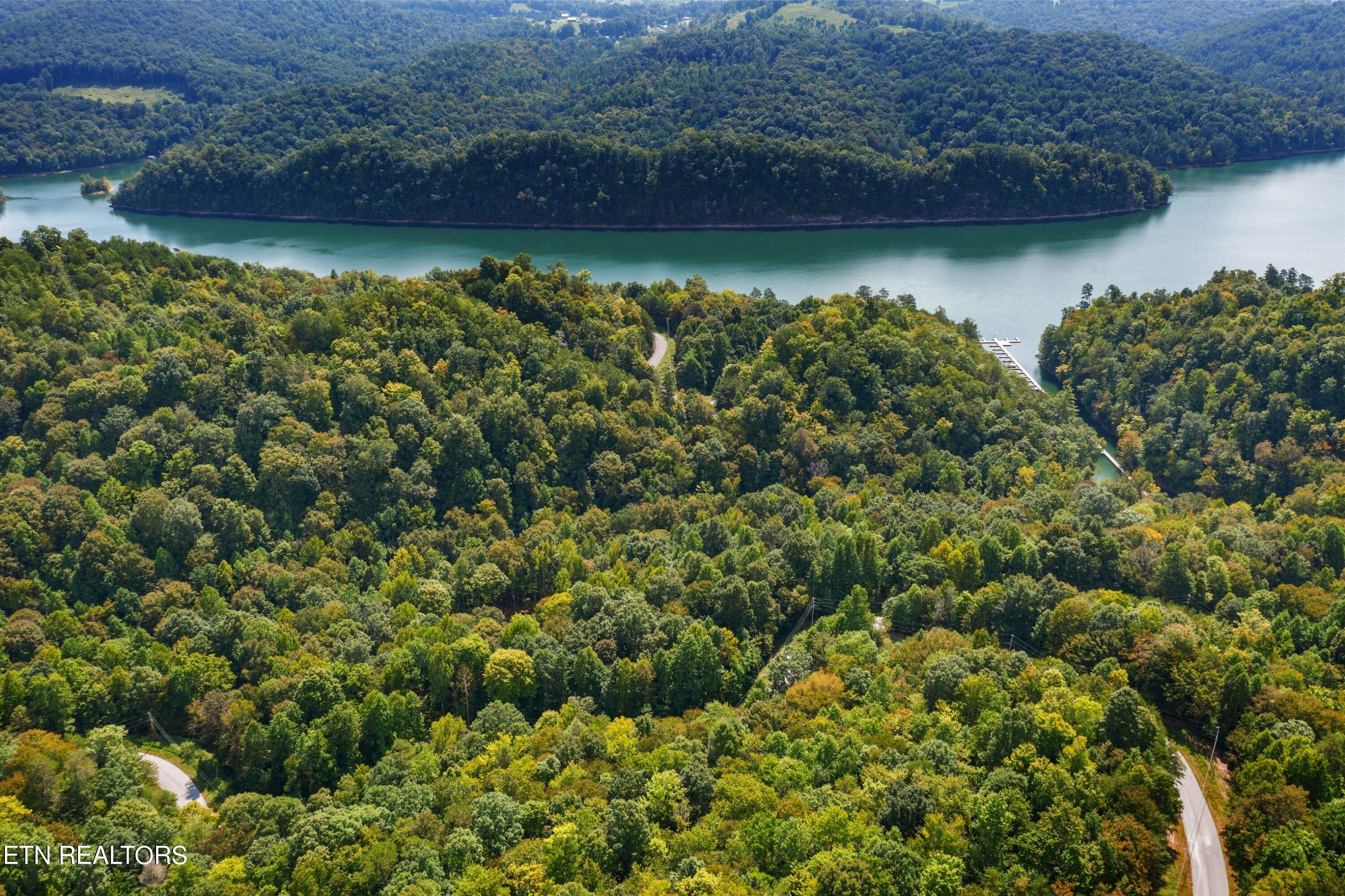 Norris Lake Real Estate - Image# 6