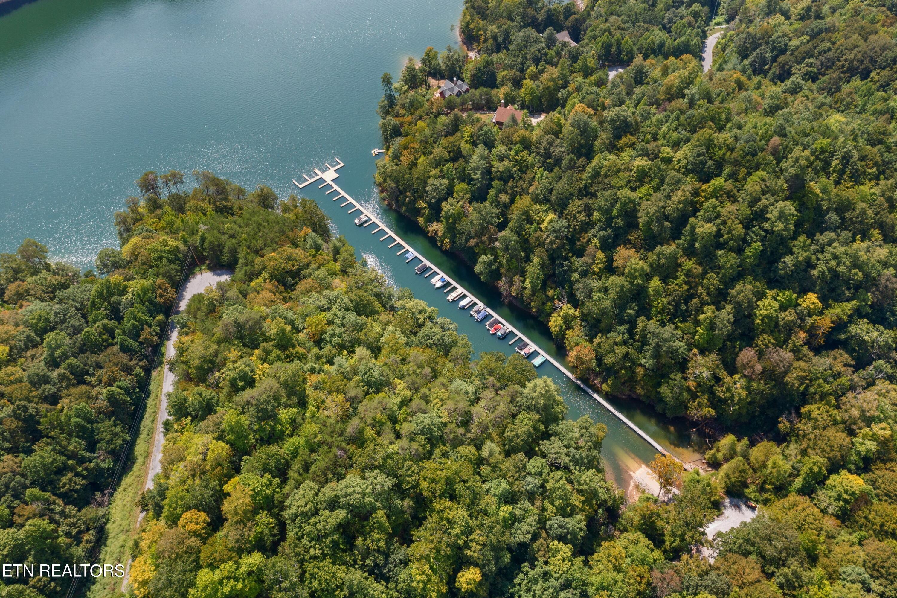 Norris Lake Real Estate - Image# 7